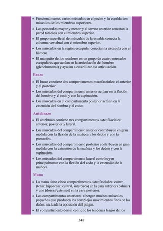 Funcionalmente, varios músculos en el pecho y la espalda son
músculos de los miembros superiores.
Los pectorales mayor y menor y el serrato anterior conectan la
pared torácica con el miembro superior.
El grupo superficial de músculos de la espalda conecta la
columna vertebral con el miembro superior.
Los músculos en la región escapular conectan la escápula con el
húmero.
El manguito de los rotadores es un grupo de cuatro músculos
escapulares que actúan en la articulación del hombro
(glenohumeral) y ayudan a estabilizar esa articulación.
Brazo
El brazo contiene dos compartimentos osteofasciales: el anterior
y el posterior.
Los músculos del compartimento anterior actúan en la flexión
del hombro y el codo y con la supinación.
Los músculos en el compartimento posterior actúan en la
extensión del hombro y el codo.
Antebrazo
El antebrazo contiene tres compartimentos osteofasciales:
anterior, posterior y lateral.
Los músculos del compartimento anterior contribuyen en gran
medida con la flexión de la muñeca y los dedos y con la
pronación.
Los músculos del compartimento posterior contribuyen en gran
medida con la extensión de la muñeca y los dedos y con la
supinación.
Los músculos del compartimento lateral contribuyen
principalmente con la flexión del codo y la extensión de la
muñeca.
Mano
La mano tiene cinco compartimentos osteofasciales: cuatro
(tenar, hipotenar, central, interóseo) en la cara anterior (palmar)
y uno (dorsal/extensor) en la cara posterior.
Los compartimentos anteriores albergan muchos músculos
pequeños que producen los complejos movimientos finos de los
dedos, incluida la oposición del pulgar.
El compartimento dorsal contiene los tendones largos de los
347
 