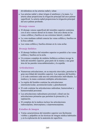dividiéndose en las arterias radial y ulnar.
Las arterias radial y ulnar irrigan el antebrazo y la mano. La
arteria ulnar proporciona la irrigación principal del arco palmar
superficial. La arteria radial proporciona la irrigación principal
del arco palmar profundo.
Drenaje venoso
El drenaje venoso superficial del miembro superior comienza
con el arco venoso dorsal en la mano. Este arco drena en las
venas cefálica y basílica en sus extremos lateral y medial.
La vena mediana cubital conecta las venas cefálica y basílica en
la fosa cubital.
Las venas cefálica y basílica drenan en la vena axilar.
Drenaje linfático
El drenaje linfático del miembro superior es paralelo a las venas
cefálica y basílica en la axila.
Un extenso complejo de nódulos linfáticos axilares recoge la
linfa del miembro superior, gran parte de la mama y una gran
área de las paredes toracoabdominales y la espalda.
Articulaciones
Numerosas articulaciones, en su mayoría sinoviales, permiten la
gran movilidad del miembro superior. Las regiones del hombro
y el codo contienen cada una tres articulaciones individuales. La
muñeca y la mano contienen múltiples articulaciones.
La región del hombro contiene las articulaciones
esternoclavicular, acromioclavicular y glenohumeral.
El codo contiene las articulaciones radioulnar, humeroulnar y
humerorradial proximal.
Las articulaciones radioulnares proximal y distal son las
articulaciones primarias que permiten la pronación y la
supinación.
El complejo de la muñeca incluye las articulaciones
radiocarpiana, intercarpiana y carpometacarpiana.
Estudios de imagen
Varias características del miembro superior son fácilmente
visibles y palpables en las técnicas de imagen médica habituales
y en la exploración de la anatomía de superficie.
349
 