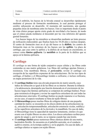 Conducto Conducto carotídeo del hueso temporal
Meato Meato nasal inferior
En el embrión, los huesos de la bóveda craneal se desarrollan rápidamente
mediante el proceso de formación membranosa, lo cual permite proteger el
cerebro subyacente en desarrollo. Al momento del nacimiento, aún quedan
pequeñas áreas de membrana entre los huesos. Esto es importante desde el punto
de vista clínico porque aporta cierto grado de movilidad a los huesos, de modo
que el cráneo pueda moldearse al descender por las vías inferiores del aparato
genital femenino.
Los huesos largos de los miembros se desarrollan mediante un lento proceso
de osificación endocondral, que finaliza hasta los 18-20 años o incluso después.
El centro de formación ósea en el eje del hueso es la diáfisis; los centros de
formación ósea en los extremos de los huesos son las epífisis. La placa de
cartílago, que yace entre la epífisis y la diáfisis de un hueso en crecimiento, se
conoce como lámina epifisaria. La metáfisis es la parte de la diáfisis que se
apoya en la lámina epifisaria.
Cartílago
El cartílago es una forma de tejido conjuntivo cuyas células y las fibras están
contenidas en una matriz gelatinosa. Las fibras del cartílago aportan firmeza y
resistencia. Una membrana fibrosa, el pericondrio, reviste el cartílago con
excepción de las superficies expuestas de las articulaciones. De los tres tipos de
cartílago, el hialino y el fibrocartílago tienden a osificarse, e incluso osificarse,
en etapas posteriores de la vida.
El cartílago hialino tiene una elevada proporción de matriz amorfa, cuyo
índice de refracción es igual al de las fibras en su interior. Durante la infancia
y la adolescencia, desempeña una función destacada en el crecimiento de los
huesos largos (las láminas epifisarias se componen de cartílago hialino). Posee
gran resistencia al desgaste y reviste las superficies articulares de casi todas las
articulaciones sinoviales. El cartílago hialino no puede repararse si se fractura;
en ese caso, el espacio resultante se llena de tejido fibroso.
El fibrocartílago posee muchas fibras de colágeno dentro de una pequeña
cantidad de matriz; se encuentra en los discos dentro de las articulaciones (p.
ej., articulación temporomandibular, articulación esternocla vicular, rodilla) y
en las superficies articulares de la clavícula y la mandíbula. En caso de daño,
el fibrocartílago tiene la capacidad de repararse lentamente, similar a lo que
ocurre con el tejido fibroso en otros sitios. Los discos articulares reciben poco
aporte de sangre y, por lo tanto, no se reparan cuando hay una lesión.
El cartílago elástico posee numerosas fibras elásticas dentro de una matriz,
haciéndola flexible. Se encuentra en el pabellón auricular, en el conducto
auditivo externo, en la trompa auditiva y en la epiglotis. En caso de daño, el
cartílago elástico se repara con tejido fibroso.
35
 