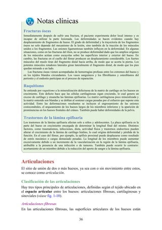 Notas clínicas
Fracturas óseas
Inmediatamente después de sufrir una fractura, el paciente experimenta dolor local intenso y es
incapaz de utilizar la parte lesionada. Las deformidades se hacen evidentes cuando hay
desplazamiento de fragmentos de hueso. El grado de deformidad y la trayectoria de los fragmentos
óseos no solo depende del mecanismo de la lesión, sino también de la tracción de los músculos
unidos a los fragmentos. Las uniones ligamentosas también influyen en la deformidad. En algunas
situaciones, como en las fracturas del ilion, no se produce deformidad dado que los amplios orígenes
de los músculos actúan como escayolas sobre las superficies interior y exterior del hueso. En
cambio, las fracturas en el cuello del fémur producen un desplazamiento considerable. Los fuertes
músculos del muslo tiran del fragmento distal hacia arriba, de modo que se acorta la pierna. Los
potentes músculos rotadores laterales giran lateralmente el fragmento distal, de modo que los pies
quedan mirando a un lado.
Las fracturas óseas vienen acompañadas de hemorragias profusas entre los extremos del hueso y
en los tejidos blandos circundantes. Los vasos sanguíneos y los fibroblastos y osteoblastos del
periostio y el endostio participan en el proceso de reparación.
Raquitismo
Se entiende por raquitismo a la mineralización defectuosa de la matriz de cartílago en los huesos en
crecimiento. Este defecto hace que las células cartilaginosas sigan creciendo, lo cual genera un
exceso de cartílago y ensancha las láminas epifisarias. La matriz cartilaginosa poco mineralizada y
la matriz osteoide son blandas y se doblan al sostener cargas pesadas por el esfuerzo que supone esta
actividad. Entre las deformaciones resultantes se incluyen el engrosamiento de las uniones
costocondrales, el arqueamiento de los huesos largos de los miembros inferiores y la aparición de
prominencias en los huesos frontales del cráneo. También puede haber deformidades de la pelvis.
Trastornos de la lámina epifisaria
Los trastornos de la lámina epifisaria afectan solo a niños y adolescentes. La placa epifisaria es la
parte del hueso en crecimiento encargada de determinar la longitud final del mismo. Distintos
factores, como traumatismos, infecciones, dieta, actividad física y trastornos endocrinos pueden
alterar el crecimiento de la lámina de cartílago hialino, lo cual origina deformidad y pérdida de la
función. En el caso del fémur, por ejemplo, la epífisis proximal puede desplazarse como resultado
de estrés mecánico o cargas demasiado pesadas. La longitud de los miembros puede aumentar
excesivamente debido a un incremento de la vascularización en la región de la lámina epifisaria,
atribuible a la presencia de una infección o de tumores. También puede ocurrir lo contrario:
acortamiento de un miembro debido a la reducción del aporte de sangre a la lámina epifisaria.
Articulaciones
El sitio de unión de dos o más huesos, ya sea con o sin movimiento entre estos,
se conoce como articulación.
Clasificación de las articulaciones
Hay tres tipos principales de articulaciones, definidas según el tejido ubicado en
el espacio articular entre los huesos: articulaciones fibrosas, cartilaginosas y
sinoviales (véase fig. 1-10).
Articulaciones fibrosas
En las articulaciones fibrosas, las superficies articulares de los huesos están
36
 