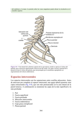 del antebrazo y la mano. La presión sobre los vasos sanguíneos puede afectar la circulación en el
miembro superior.
Figura 4-8 Vista lateral de la abertura superior de la caja torácica, donde se aprecia el vértice del
pulmón, que se proyecta superiormente, hacia la raíz del cuello. Las capas visceral y parietal de la
pleural revisten el vértice del pulmón, que está protegido por la membrana suprapleural, un
engrosamiento de la fascia endotorácica.
Espacios intercostales
Los espacios intercostales son las separaciones entre costillas adyacentes. Antes
de atravesar por completo el espacio intercostal, una aguja deberá penetrar siete
capas estructurales (fig. 4-9), que son más pronunciadas en la cara lateral de la
pared torácica. A continuación se enumeran las capas de la más superficial a la
más profunda:
1. Piel
2. Fascia superficial
3. Fascia profunda
4. Músculos intercostales
5. Fascia endotorácica
6. Capa grasa extrapleural
7. Pleura parietal
364
 