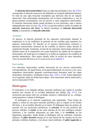 El músculo intercostal íntimo forma la capa más profunda (véase fig. 4-9) y
corresponde al músculo transverso del abdomen en la pared abdominal anterior.
Se trata de una capa muscular incompleta que atraviesa más de un espacio
intercostal. Está relacionado internamente con la fascia endotorácica y con la
pleura parietal; externamente, con los nervios y vasos sanguíneos intercostales.
El músculo intercostal íntimo puede dividirse en tres porciones, más o menos
independientes entre sí (véase fig. 4-10). La porción anterior recibe el nombre de
músculo transverso del tórax; la lateral constituye el músculo intercostal
íntimo y la posterior, el músculo subcostal.
Acciones
Al parecer, la función principal de los músculos intercostales durante la
respiración es la de estabilizar la posición de las costillas para mantener los
espacios intercostales. Su función en el ascenso (intercostales externos) y
descenso (intercostales internos) de las costillas se observa mejor durante la
respiración forzada. Asimismo, el tono de los músculos intercostales durante las
distintas fases de la respiración sirve para fortalecer los tejidos de los espacios
intercostales, de modo que no colapsen ni se inflen en respuesta a los cambios de
presión intratorácica. Para mayor detalle sobre la acción de estos músculos,
véase la sección Mecánica de la respiración en el capítulo 5.
Inervación
Los músculos intercostales reciben inervación de los nervios intercostales
correspondientes. De igual forma, en la pared abdominal, los nervios y los vasos
sanguíneos intercostales (paquete vasculonervioso) discurren entre las capas
musculares intermedia y profunda (véanse figs. 4-9A y 4-10). Están dispuestos
en el siguiente orden de arriba hacia abajo: vena intercostal, arteria intercostal y
nervio intercostal (VAN).
Diafragma
El diafragma es un delgado tabique muscular tendinoso que separa la cavidad
torácica por encima de la cavidad abdominal por debajo (fig. 4-11). Las
estructuras que pasan entre las cavidades torácica y abdominal (p. ej., esófago,
aorta) penetran o rodean el diafragma.
El diafragma es el músculo respiratorio más importante. Tiene forma de
cúpula y consta de una parte muscular periférica, que se origina en los bordes
del tórax, y de un tendón ubicado en el centro. El diafragma tiene tres partes, de
acuerdo con sus inserciones periféricas: la esternal, en la cara posterior del
proceso xifoides; la costal, en las caras internas de los seis cartílagos costales
inferiores y las costillas adyacentes en cada lado, y la vertebral, en los
ligamentos arqueados, desde donde el diafragma sale en columnas verticales
(pilares). El pilar derecho emerge en la cara lateral de los cuerpos de las tres
primeras vértebras lumbares y los discos intervertebrales. El pilar izquierdo se
367
 