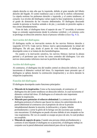 cúpula derecha es más alta que la izquierda, debido al gran tamaño del lóbulo
derecho del hígado. El centro tendinoso yace a nivel de la sínfisis xifoesternal.
La cúpula sostiene los pulmones derecho e izquierdo, y el centro tendinoso, al
corazón. Los niveles del diafragma varían según la fase respiratoria, la postura y
el grado de distensión de las vísceras abdominales. El diafragma desciende
cuando la persona se localiza sentada o de pie, y asciende en posición supina o
tras comer abundantemente.
Visto de lado, el diafragma tiene el aspecto de una “J” invertida; el extremo
largo se extiende superiormente desde la columna vertebral, y el extremo corto
se prolonga en dirección anterior, hacia el proceso xifoides (véase fig. 4-2).
Inervación del diafragma
El diafragma recibe su inervación motora de los nervios frénicos derecho e
izquierdo (C3-C5). Cada nervio frénico inerva aproximadamente la mitad del
diafragma. De ahí que, desde el punto de vista funcional, el diafragma se
desempeñe como si se tratara de dos hemidiafragmas.
En cuanto a la inervación sensitiva, los nervios frénicos inervan la pleura
parietal y el peritoneo que reviste las caras centrales del diafragma. Los seis
nervios intercostales inferiores inervan la periferia del diafragma.
Acción del diafragma
Al contraerse, el diafragma tira del tendón central en dirección inferior, lo cual
incrementa el diámetro vertical del tórax. Es importante tener presente que el
diafragma se aplana durante la contracción (inspiración) y se eleva durante la
relajación (espiración).
Función del diafragma
El diafragma desempeña cuatro funciones principales:
Músculo de la inspiración. Como se ha mencionado, al contraerse, el
diafragma tira del centro tendinoso en dirección inferior, lo cual incrementa el
diámetro vertical del tórax. El diafragma es el músculo más importante
durante la inspiración.
Músculo para potenciar el esfuerzo abdominal. La contracción del
diafragma potencia el esfuerzo que hacen los múscu los anterolaterales de la
pared abdominal al contraerse con el propósito de elevar la presión
intraabdominal durante la micción, la defecación y el parto. Inhalar
profundamente y cerrar la glotis de la laringe son dos acciones que ayudan a
este mecanismo. El diafragma no puede elevarse debido al aire atrapado en las
vías respiratorias. De vez en cuando se escapa un poco de aire, lo cual produce
un resoplido.
Músculo de soporte de peso. Cuando una persona inhala profundamente y
contiene el aire (fijando el diafragma en su posición), el diafragma trabaja en
conjunto con la pared abdominal anterolateral para elevar la presión
369
 