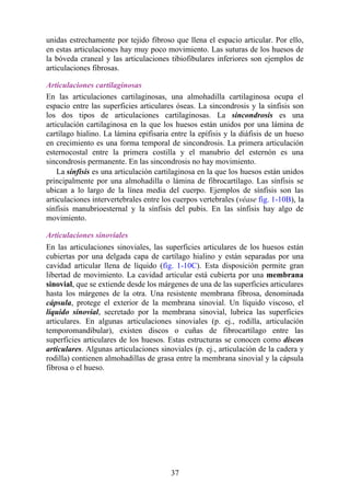 unidas estrechamente por tejido fibroso que llena el espacio articular. Por ello,
en estas articulaciones hay muy poco movimiento. Las suturas de los huesos de
la bóveda craneal y las articulaciones tibiofibulares inferiores son ejemplos de
articulaciones fibrosas.
Articulaciones cartilaginosas
En las articulaciones cartilaginosas, una almohadilla cartilaginosa ocupa el
espacio entre las superficies articulares óseas. La sincondrosis y la sínfisis son
los dos tipos de articulaciones cartilaginosas. La sincondrosis es una
articulación cartilaginosa en la que los huesos están unidos por una lámina de
cartílago hialino. La lámina epifisaria entre la epífisis y la diáfisis de un hueso
en crecimiento es una forma temporal de sincondrosis. La primera articulación
esternocostal entre la primera costilla y el manubrio del esternón es una
sincondrosis permanente. En las sincondrosis no hay movimiento.
La sínfisis es una articulación cartilaginosa en la que los huesos están unidos
principalmente por una almohadilla o lámina de fibrocartílago. Las sínfisis se
ubican a lo largo de la línea media del cuerpo. Ejemplos de sínfisis son las
articulaciones intervertebrales entre los cuerpos vertebrales (véase fig. 1-10B), la
sínfisis manubrioesternal y la sínfisis del pubis. En las sínfisis hay algo de
movimiento.
Articulaciones sinoviales
En las articulaciones sinoviales, las superficies articulares de los huesos están
cubiertas por una delgada capa de cartílago hialino y están separadas por una
cavidad articular llena de líquido (fig. 1-10C). Esta disposición permite gran
libertad de movimiento. La cavidad articular está cubierta por una membrana
sinovial, que se extiende desde los márgenes de una de las superficies articulares
hasta los márgenes de la otra. Una resistente membrana fibrosa, denominada
cápsula, protege el exterior de la membrana sinovial. Un líquido viscoso, el
líquido sinovial, secretado por la membrana sinovial, lubrica las superficies
articulares. En algunas articulaciones sinoviales (p. ej., rodilla, articulación
temporomandibular), existen discos o cuñas de fibrocartílago entre las
superficies articulares de los huesos. Estas estructuras se conocen como discos
articulares. Algunas articulaciones sinoviales (p. ej., articulación de la cadera y
rodilla) contienen almohadillas de grasa entre la membrana sinovial y la cápsula
fibrosa o el hueso.
37
 