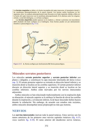 Las hernias congénitas se deben a la fusión incompleta del septo transverso, el mesenterio dorsal y
las membranas pleuroperitoneales de la pared corporal. Las hernias suelen localizarse en los
siguientes sitios: a) conducto pleuroperitoneal (más frecuente en el lado izquierdo; debida a fallos en
la fusión del septo transverso con la membrana pleuroperitoneal), b) la abertura entre los orígenes
xifoide y costal del diafragma, y c) el hiato esofágico.
Las hernias adquiridas pueden aparecer en la madurez, y afectan a personas con musculatura
débil alrededor del hiato esofágico en el diafragma. Estas hernias pueden ser por deslizamiento
(hiatales) o paraesofágicas (fig. 4-12).
Figura 4-12 A. Hernia esofágica por deslizamiento B. Hernia paraesofágica.
Músculos serratos posteriores
Los músculos serrato posterior superior y serrato posterior inferior son
planos y delgados, y constituyen la capa muscular intermedia del dorso (véase
cap. 2). El serrato posterior superior se extiende en dirección lateral inferior y su
inserción distal se localiza en las costillas superiores. El serrato posterior inferior
discurre en dirección lateral superior y su inserción distal se localiza en las
costillas inferiores. Ambos están inervados por los nervios intercostales
adyacentes.
Ambos músculos se han relacionado tradicionalmente con la respiración dada
su alineación: al músculo superior se le atribuye la función de elevar las costillas
durante la inspiración, y al músculo inferior, la de hacer descender dichos huesos
durante la exhalación. Sin embargo, de acuerdo con estudios más recientes,
ambos músculos desempeñan tareas propioceptivas más que motoras.
NERVIOS
Los nervios intercostales inervan toda la pared torácica. Estos nervios son los
ramos anteriores de los primeros once nervios espinales torácicos (fig. 4-13;
véase también fig. 4-10). El ramo anterior del duodécimo nervio torácico,
372
 