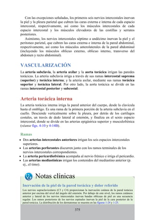 Con las excepciones señaladas, los primeros seis nervios intercostales inervan
la piel y la pleura parietal que cubren las caras externa e interna de cada espacio
intercostal, respectivamente, así como los músculos intercostales de cada
espacio intercostal y los músculos elevadores de las costillas y serratos
posteriores.
Asimismo, los nervios intercostales séptimo a undécimo inervan la piel y el
peritoneo parietal, que cubren las caras externa e interna de la pared abdominal,
respectivamente, así como los músculos anterolaterales de la pared abdominal
(incluyendo los músculos oblicuo externo, oblicuo interno, transverso del
abdomen y recto abdominal).
VASCULARIZACIÓN
La arteria subclavia, la arteria axilar y la aorta torácica irrigan las paredes
torácicas. La arteria subclavia irriga a través de sus ramas intercostal suprema
(superior) y torácica interna; y la arteria axilar, mediante sus ramas torácica
superior y torácica lateral. Por otro lado, la aorta torácica se divide en las
ramas intercostal posterior y subcostal.
Arteria torácica interna
La arteria torácica interna irriga la pared anterior del cuerpo, desde la clavícula
hasta el ombligo. Es una rama de la primera porción de la arteria subclavia en el
cuello. Desciende verticalmente sobre la pleura, por detrás de los cartílagos
costales, un través de dedo lateral al esternón, y finaliza en el sexto espacio
intercostal, donde se divide en las arterias epigástrica superior y musculofrénica
(véanse figs. 4-10 y 4-14B).
Ramas
Dos arterias intercostales anteriores irrigan los seis espacios intercostales
superiores.
Las arterias perforantes discurren junto con los ramos terminales de los
nervios intercostales correspondientes.
La arteria pericardiofrénica acompaña al nervio frénico e irriga el pericardio.
Las arterias mediastínicas irrigan los contenidos del mediastino anterior (p.
ej., el timo).
Notas clínicas
Inervación de la piel de la pared torácica y dolor referido
Los nervios supraclaviculares (C3 y C4) proporcionan la inervación cutánea de la pared torácica
anterior por encima del nivel del ángulo del esternón. Por debajo de este nivel, los ramos cutáneos
anterior y lateral de los nervios intercostales inervan bandas oblicuas de piel en una secuencia
regular. Los ramos posteriores de los nervios espinales inervan la piel de la cara posterior de la
pared torácica. La distribución de los dermatomas se muestra en las figuras 1-24 y 1-25.
375
 