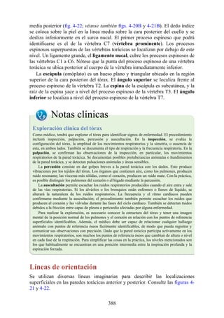 media posterior (fig. 4-22; véanse también figs. 4-20B y 4-21B). El dedo índice
se coloca sobre la piel en la línea media sobre la cara posterior del cuello y se
desliza inferiormente en el surco nucal. El primer proceso espinoso que podrá
identificarse es el de la vértebra C7 (vértebra prominente). Los procesos
espinosos superpuestos de las vértebras torácicas se localizan por debajo de este
nivel. Un ligamento grande, el ligamento nucal, cubre los procesos espinosos de
las vértebras C1 a C6. Nótese que la punta del proceso espinoso de una vértebra
torácica se ubica posterior al cuerpo de la vértebra inmediatamente inferior.
La escápula (omóplato) es un hueso plano y triangular ubicado en la región
superior de la cara posterior del tórax. El ángulo superior se localiza frente al
proceso espinoso de la vértebra T2. La espina de la escápula es subcutánea, y la
raíz de la espina yace a nivel del proceso espinoso de la vértebra T3. El ángulo
inferior se localiza a nivel del proceso espinoso de la vértebra T7.
Notas clínicas
Exploración clínica del tórax
Como médico, tendrá que explorar el tórax para identificar signos de enfermedad. El procedimiento
incluirá inspección, palpación, percusión y auscultación. En la inspección, se evalúa la
configuración del tórax, la amplitud de los movimientos respiratorios y la simetría, o ausencia de
esta, en ambos lados. También se documenta el tipo de respiración y la frecuencia respiratoria. En la
palpación, se confirman las observaciones de la inspección, en particular, los movimientos
respiratorios de la pared torácica. Se documentan posibles protuberancias anómalas o hundimientos
de la pared torácica, y se detectan pulsaciones anómalas y áreas sensibles.
La percusión consiste en dar golpes breves a la pared torácica con los dedos. Esto produce
vibraciones por los tejidos del tórax. Los órganos que contienen aire, como los pulmones, producen
ruido resonante; las vísceras más sólidas, como el corazón, producen un ruido mate. Con la práctica,
es posible distinguir los pulmones del corazón o el hígado mediante la percusión.
La auscultación permite escuchar los ruidos respiratorios producidos cuando el aire entra y sale
de las vías respiratorias. Si los alvéolos o los bronquios están enfermos o llenos de líquido, se
alterará la naturaleza de los ruidos respiratorios. La frecuencia y el ritmo cardíacos pueden
confirmarse mediante la auscultación; el procedimiento también permite escuchar los ruidos que
producen el corazón y las válvulas durante las fases del ciclo cardíaco. También se detectan ruidos
debidos a la fricción entre capas de pleura o pericardio afectadas por alguna enfermedad.
Para realizar la exploración, es necesario conocer la estructura del tórax y tener una imagen
mental de la posición normal de los pulmones y el corazón en relación con los puntos de referencia
superficiales identificables. Además, el médico debe ser capaz de relacionar cualquier hallazgo
anómalo con puntos de referencia óseos fácilmente identificables, de modo que pueda registrar y
comunicar sus observaciones con precisión. Dado que la pared torácica participa activamente en los
movimientos respiratorios, son muchos los puntos de referencia óseos que cambian de altura o nivel
en cada fase de la respiración. Para simplificar las cosas en la práctica, los niveles mencionados son
los que habitualmente se encuentran en una posición intermedia entre la inspiración profunda y la
espiración forzada.
Líneas de orientación
Se utilizan diversas líneas imaginarias para describir las localizaciones
superficiales en las paredes torácicas anterior y posterior. Consulte las figuras 4-
21 y 4-22.
388
 
