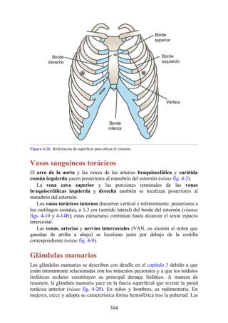 Figura 4-26 Referencias de superficie para ubicar el corazón.
Vasos sanguíneos torácicos
El arco de la aorta y las raíces de las arterias braquiocefálica y carótida
común izquierda yacen posteriores al manubrio del esternón (véase fig. 4-2).
La vena cava superior y las porciones terminales de las venas
braquiocefálicas izquierda y derecha también se localizan posteriores al
manubrio del esternón.
Los vasos torácicos internos discurren vertical e inferiormente, posteriores a
los cartílagos costales, a 1,3 cm (sentido lateral) del borde del esternón (véanse
figs. 4-10 y 4-14B); estas estructuras continúan hasta alcanzar el sexto espacio
intercostal.
Las venas, arterias y nervios intercostales (VAN, en alusión al orden que
guardan de arriba a abajo) se localizan justo por debajo de la costilla
correspondiente (véase fig. 4-9).
Glándulas mamarias
Las glándulas mamarias se describen con detalle en el capítulo 3 debido a que
están íntimamente relacionadas con los músculos pectorales y a que los nódulos
linfáticos axilares constituyen su principal drenaje linfático. A manera de
resumen, la glándula mamaria yace en la fascia superficial que reviste la pared
torácica anterior (véase fig. 4-20). En niños y hombres, es rudimentaria. En
mujeres, crece y adopta su característica forma hemisférica tras la pubertad. Las
394
 
