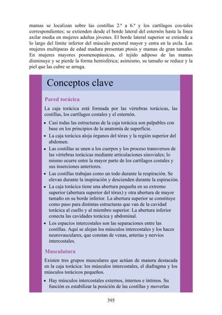 mamas se localizan sobre las costillas 2.ª a 6.ª y los cartílagos cos-tales
correspondientes; se extienden desde el borde lateral del esternón hasta la línea
axilar media en mujeres adultas jóvenes. El borde lateral superior se extiende a
lo largo del límite inferior del músculo pectoral mayor y entra en la axila. Las
mujeres multíparas de edad madura presentan ptosis y mamas de gran tamaño.
En mujeres mayores posmenopáusicas, el tejido adiposo de las mamas
disminuye y se pierde la forma hemisférica; asimismo, su tamaño se reduce y la
piel que las cubre se arruga.
Conceptos clave
Pared torácica
La caja torácica está formada por las vértebras torácicas, las
costillas, los cartílagos costales y el esternón.
Casi todas las estructuras de la caja torácica son palpables con
base en los principios de la anatomía de superficie.
La caja torácica aloja órganos del tórax y la región superior del
abdomen.
Las costillas se unen a los cuerpos y los proceso transversos de
las vértebras torácicas mediante articulaciones sinoviales; lo
mismo ocurre entre la mayor parte de los cartílagos costales y
sus inserciones anteriores.
Las costillas trabajan como un todo durante la respiración. Se
elevan durante la inspiración y descienden durante la espiración.
La caja torácica tiene una abertura pequeña en su extremo
superior (abertura superior del tórax) y otra abertura de mayor
tamaño en su borde inferior. La abertura superior se constituye
como paso para distintas estructuras que van de la cavidad
torácica al cuello y al miembro superior. La abertura inferior
conecta las cavidades torácica y abdominal.
Los espacios intercostales son las separaciones entre las
costillas. Aquí se alojan los músculos intercostales y los haces
neurovasculares, que constan de venas, arterias y nervios
intercostales.
Musculatura
Existen tres grupos musculares que actúan de manera destacada
en la caja torácica: los músculos intercostales, el diafragma y los
músculos torácicos pequeños.
Hay músculos intercostales externos, internos e íntimos. Su
función es estabilizar la posición de las costillas y moverlas
395
 