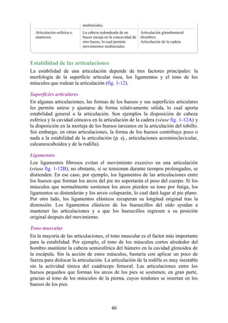 multiaxiales.
Articulación esférica o
enartrosis
La cabeza redondeada de un
hueso encaja en la concavidad de
otro hueso, lo cual permite
movimientos multiaxiales.
Articulación glenohumeral
(hombro)
Articulación de la cadera
Estabilidad de las articulaciones
La estabilidad de una articulación depende de tres factores principales: la
morfología de la superficie articular ósea, los ligamentos y el tono de los
músculos que rodean la articulación (fig. 1-12).
Superficies articulares
En algunas articulaciones, las formas de los huesos y sus superficies articulares
les permite unirse y ajustarse de forma relativamente sólida, lo cual aporta
estabilidad general a la articulación. Son ejemplos la disposición de cabeza
esférica y la cavidad cóncava en la articulación de la cadera (véase fig. 1-12A) y
la disposición en la mortaja de los huesos tarsianos en la articulación del tobillo.
Sin embargo, en otras articulaciones, la forma de los huesos contribuye poco o
nada a la estabilidad de la articulación (p. ej., articulaciones acromioclavicular,
calcaneocuboidea y de la rodilla).
Ligamentos
Los ligamentos fibrosos evitan el movimiento excesivo en una articulación
(véase fig. 1-12B); no obstante, si se tensionan durante tiempos prolongados, se
distienden. En ese caso, por ejemplo, los ligamentos de las articulaciones entre
los huesos que forman los arcos del pie no soportarán el peso del cuerpo. Si los
músculos que normalmente sostienen los arcos pierden su tono por fatiga, los
ligamentos se distenderán y los arcos colapsarán, lo cual dará lugar al pie plano.
Por otro lado, los ligamentos elásticos recuperan su longitud original tras la
distensión. Los ligamentos elásticos de los huesecillos del oído ayudan a
mantener las articulaciones y a que los huesecillos regresen a su posición
original después del movimiento.
Tono muscular
En la mayoría de las articulaciones, el tono muscular es el factor más importante
para la estabilidad. Por ejemplo, el tono de los músculos cortos alrededor del
hombro mantiene la cabeza semiesférica del húmero en la cavidad glenoidea de
la escápula. Sin la acción de estos músculos, bastaría con aplicar un poco de
fuerza para dislocar la articulación. La articulación de la rodilla es muy inestable
sin la actividad tónica del cuádriceps femoral. Las articulaciones entre los
huesos pequeños que forman los arcos de los pies se sostienen, en gran parte,
gracias al tono de los músculos de la pierna, cuyos tendones se insertan en los
huesos de los pies.
40
 