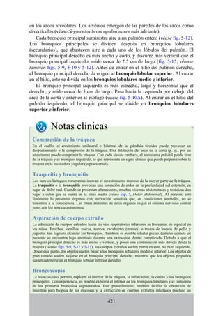 en los sacos alveolares. Los alvéolos emergen de las paredes de los sacos como
divertículos (véase Segmentos broncopulmonares más adelante).
Cada bronquio principal suministra aire a un pulmón entero (véase fig. 5-12).
Los bronquios principales se dividen después en bronquios lobulares
(secundarios), que abastecen aire a cada uno de los lóbulos del pulmón. El
bronquio principal derecho es más ancho y corto, y discurre más vertical que el
bronquio principal izquierdo; mide cerca de 2,5 cm de largo (fig. 5-15; véanse
también figs. 5-9, 5-10 y 5-12). Antes de entrar en el hilio del pulmón derecho,
el bronquio principal derecho da origen al bronquio lobular superior. Al entrar
en el hilio, este se divide en los bronquios lobulares medio e inferior.
El bronquio principal izquierdo es más estrecho, largo y horizontal que el
derecho, y mide cerca de 5 cm de largo. Pasa hacia la izquierda por debajo del
arco de la aorta y anterior al esófago (véase fig. 5-10A). Al entrar en el hilio del
pulmón izquierdo, el bronquio principal se divide en bronquios lobulares
superior e inferior.
Notas clínicas
Compresión de la tráquea
En el cuello, el crecimiento unilateral o bilateral de la glándula tiroides puede provocar un
desplazamiento o la compresión de la tráquea. Una dilatación del arco de la aorta (p. ej., por un
aneurisma) puede comprimir la tráquea. Con cada sístole cardíaca, el aneurisma pulsátil puede tirar
de la tráquea y el bronquio izquierdo, lo que representa un signo clínico que puede palparse sobre la
tráquea en la escotadura yugular (supraesternal).
Traqueítis y bronquitis
Los nervios laríngeos recurrentes inervan el revestimiento mucoso de la mayor parte de la tráquea.
La traqueítis o la bronquitis provocan una sensación de ardor en la profundidad del esternón, en
lugar de dolor real. Cuando se presentan alteraciones, muchas vísceras abdominales y torácicas dan
lugar a dolor que se siente en la línea media (véase cap. 7, Dolor abdominal). Al parecer, este
fenómeno lo presentan órganos con inervación sensitiva que, en condiciones normales, no se
transmite a la consciencia. Las fibras aferentes de estos órganos viajan al sistema nervioso central
junto con los nervios autónomos.
Aspiración de cuerpo extraño
La inhalación de cuerpos extraños hacia las vías respiratorias inferiores es frecuente, en especial en
los niños. Broches, tornillos, roscas, nueces, cacahuetes (maníes) o trozos de huesos de pollo y
juguetes han logrado alcanzar los bronquios. También es posible inhalar piezas dentales cuando un
paciente se encuentra bajo anestesia durante una extracción dental complicada. Debido a que el
bronquio principal derecho es más ancho y vertical, y posee una continuación más directa desde la
tráquea (véanse figs. 5-9, 5-12 y 5-15), los cuerpos extraños suelen entrar en este, no en el izquierdo.
Desde este punto, los objetos suelen pasar a los bronquios lobulares medio o inferior. Los objetos de
gran tamaño suelen alojarse en el bronquio principal derecho, mientras que los objetos pequeños
suelen detenerse en el bronquio lobular inferior derecho.
Broncoscopia
La broncoscopia permite explorar el interior de la tráquea, la bifurcación, la carina y los bronquios
principales. Con experiencia, es posible explorar el interior de los bronquios lobulares y el comienzo
de los primeros bronquios segmentarios. Este procedimiento también facilita la obtención de
muestras para biopsia de las mucosas y la extracción de cuerpos extraños inhalados (incluso un
421
 