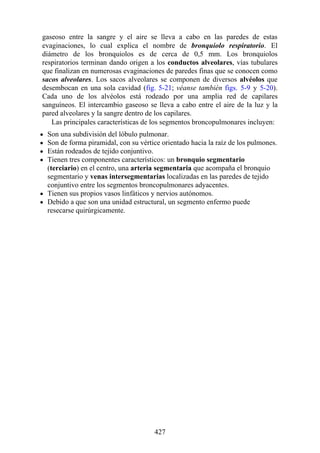 gaseoso entre la sangre y el aire se lleva a cabo en las paredes de estas
evaginaciones, lo cual explica el nombre de bronquiolo respiratorio. El
diámetro de los bronquiolos es de cerca de 0,5 mm. Los bronquiolos
respiratorios terminan dando origen a los conductos alveolares, vías tubulares
que finalizan en numerosas evaginaciones de paredes finas que se conocen como
sacos alveolares. Los sacos alveolares se componen de diversos alvéolos que
desembocan en una sola cavidad (fig. 5-21; véanse también figs. 5-9 y 5-20).
Cada uno de los alvéolos está rodeado por una amplia red de capilares
sanguíneos. El intercambio gaseoso se lleva a cabo entre el aire de la luz y la
pared alveolares y la sangre dentro de los capilares.
Las principales características de los segmentos broncopulmonares incluyen:
Son una subdivisión del lóbulo pulmonar.
Son de forma piramidal, con su vértice orientado hacia la raíz de los pulmones.
Están rodeados de tejido conjuntivo.
Tienen tres componentes característicos: un bronquio segmentario
(terciario) en el centro, una arteria segmentaria que acompaña el bronquio
segmentario y venas intersegmentarias localizadas en las paredes de tejido
conjuntivo entre los segmentos broncopulmonares adyacentes.
Tienen sus propios vasos linfáticos y nervios autónomos.
Debido a que son una unidad estructural, un segmento enfermo puede
resecarse quirúrgicamente.
427
 