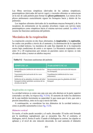 Las fibras nerviosas simpáticas (derivadas de las cadenas simpáticas),
parasimpáticas (derivadas del nervio vago) y viscerales aferentes se entrecruzan
en la raíz de cada pulmón para formar los plexos pulmonares. Los ramos de los
plexos pulmonares esencialmente siguen los bronquios hacia y dentro de los
pulmones.
Los impulsos aferentes derivados de la membrana mucosa bronquial y de los
receptores de estiramiento en las paredes alveolares viajan con nervios tanto
parasimpáticos como simpáticos hacia el sistema nervioso central. La tabla 5-2
resume las funciones autónomas del pulmón.
Mecánica de la respiración
La respiración consiste en dos fases alternantes, la inspiración y la espiración,
las cuales son posibles a través de el aumento y la disminución de la capacidad
de la cavidad torácica. La mecánica de cada fase depende de si la respiración
ocurre bajo condiciones de estrés o en reposo. La frecuencia respiratoria varía
entre 16 y 20 respiraciones por minuto en pacientes sanos en reposo; es más
elevada en niños y menor en adultos mayores.
Tabla 5-2 Funciones autónomas del pulmón
SIMPÁTICAS PARASIMPÁTICAS
Broncodilatación (inhibición del músculo liso
bronquial)
Broncoconstricción (activación del músculo
liso bronquial)
Vasoconstricción (activación de los vasos
pulmonares)
Vasodilatación (inhibición de los vasos
pulmonares)
Inhibición de las glándulas alveolares del árbol
bronquial (células epiteliales secretoras de los
alvéolos de tipo II)
Secretomotoras para las glándulas del árbol
bronquial
Inspiración en reposo
La cavidad torácica es como una caja con una sola abertura en la parte superior
conectada a un tubo, la tráquea (fig. 5-23A). El aumento de todos los diámetros
de la caja también incrementa su capacidad, lo que causa que el aire, que está a
presión atmosférica, entre en la caja a través del tubo.
A continuación, se consideran los tres diámetros de la cavidad torácica y
cómo es posible aumentarlos (véase fig. 5-23).
Diámetro vertical
En teoría, el techo puede ascender y el suelo, descender. El techo está formado
por la membrana suprapleural, que se encuentra fija. Por el contrario, el
diafragma, móvil, forma el suelo. Cuando el diafragma se contrae, las cúpulas se
aplanan y el nivel de este músculo desciende, lo cual aumenta el diámetro
431
 