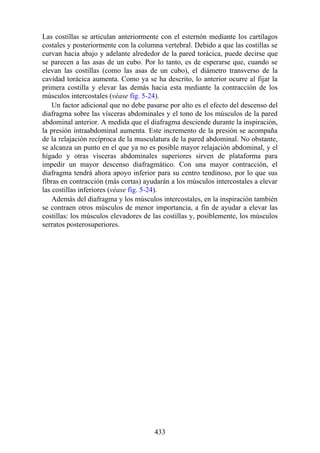 Las costillas se articulan anteriormente con el esternón mediante los cartílagos
costales y posteriormente con la columna vertebral. Debido a que las costillas se
curvan hacia abajo y adelante alrededor de la pared torácica, puede decirse que
se parecen a las asas de un cubo. Por lo tanto, es de esperarse que, cuando se
elevan las costillas (como las asas de un cubo), el diámetro transverso de la
cavidad torácica aumenta. Como ya se ha descrito, lo anterior ocurre al fijar la
primera costilla y elevar las demás hacia esta mediante la contracción de los
músculos intercostales (véase fig. 5-24).
Un factor adicional que no debe pasarse por alto es el efecto del descenso del
diafragma sobre las vísceras abdominales y el tono de los músculos de la pared
abdominal anterior. A medida que el diafragma desciende durante la inspiración,
la presión intraabdominal aumenta. Este incremento de la presión se acompaña
de la relajación recíproca de la musculatura de la pared abdominal. No obstante,
se alcanza un punto en el que ya no es posible mayor relajación abdominal, y el
hígado y otras vísceras abdominales superiores sirven de plataforma para
impedir un mayor descenso diafragmático. Con una mayor contracción, el
diafragma tendrá ahora apoyo inferior para su centro tendinoso, por lo que sus
fibras en contracción (más cortas) ayudarán a los músculos intercostales a elevar
las costillas inferiores (véase fig. 5-24).
Además del diafragma y los músculos intercostales, en la inspiración también
se contraen otros músculos de menor importancia, a fin de ayudar a elevar las
costillas: los músculos elevadores de las costillas y, posiblemente, los músculos
serratos posterosuperiores.
433
 