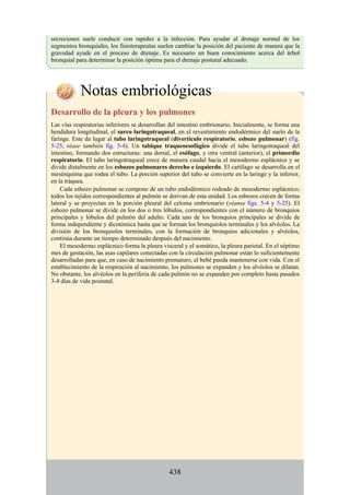 secreciones suele conducir con rapidez a la infección. Para ayudar al drenaje normal de los
segmentos bronquiales, los fisioterapeutas suelen cambiar la posición del paciente de manera que la
gravedad ayude en el proceso de drenaje. Es necesario un buen conocimiento acerca del árbol
bronquial para determinar la posición óptima para el drenaje postural adecuado.
Notas embriológicas
Desarrollo de la pleura y los pulmones
Las vías respiratorias inferiores se desarrollan del intestino embrionario. Inicialmente, se forma una
hendidura longitudinal, el surco laringotraqueal, en el revestimiento endodérmico del suelo de la
faringe. Este da lugar al tubo laringotraqueal (divertículo respiratorio, esbozo pulmonar) (fig.
5-25; véase también fig. 5-4). Un tabique traqueoesofágico divide el tubo laringotraqueal del
intestino, formando dos estructuras: una dorsal, el esófago, y otra ventral (anterior), el primordio
respiratorio. El tubo laringotraqueal crece de manera caudal hacia el mesodermo esplácnico y se
divide distalmente en los esbozos pulmonares derecho e izquierdo. El cartílago se desarrolla en el
mesénquima que rodea el tubo. La porción superior del tubo se convierte en la laringe y la inferior,
en la tráquea.
Cada esbozo pulmonar se compone de un tubo endodérmico rodeado de mesodermo esplácnico;
todos los tejidos correspondientes al pulmón se derivan de esta unidad. Los esbozos crecen de forma
lateral y se proyectan en la porción pleural del celoma embrionario (véanse figs. 5-4 y 5-25). El
esbozo pulmonar se divide en los dos o tres lóbulos, correspondientes con el número de bronquios
principales y lóbulos del pulmón del adulto. Cada uno de los bronquios principales se divide de
forma independiente y dicotómica hasta que se forman los bronquiolos terminales y los alvéolos. La
división de los bronquiolos terminales, con la formación de bronquios adicionales y alvéolos,
continúa durante un tiempo determinado después del nacimiento.
El mesodermo esplácnico forma la pleura visceral y el somático, la pleura parietal. En el séptimo
mes de gestación, las asas capilares conectadas con la circulación pulmonar están lo suficientemente
desarrolladas para que, en caso de nacimiento prematuro, el bebé pueda mantenerse con vida. Con el
establecimiento de la respiración al nacimiento, los pulmones se expanden y los alvéolos se dilatan.
No obstante, los alvéolos en la periferia de cada pulmón no se expanden por completo hasta pasados
3-4 días de vida posnatal.
438
 