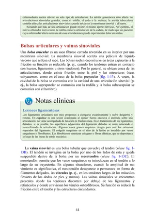 enfermedades suelen afectar un solo tipo de articulación. La artritis gonocócica sólo afecta las
articulaciones sinoviales grandes, como el tobillo, el codo o la muñeca; la artritis tuberculosa
también afecta las articulaciones sinoviales y puede iniciar en la membrana sinovial o el hueso.
Recuerde que más de una articulación puede recibir el mismo aporte nervioso. Por ejemplo, el
nervio obturador inerva tanto la rodilla como la articulación de la cadera, de modo que un paciente
cuya enfermedad afecta solo una de esas articulaciones puede experimentar dolor en ambas.
Bolsas articulares y vainas sinoviales
Una bolsa articular es un saco fibroso cerrado revestido en su interior por una
membrana sinovial. La membrana sinovial secreta una película de líquido
viscoso que rellena el saco. Las bolsas suelen encontrarse en áreas expuestas a la
fricción su función es reducirla (p. ej., cuando los tendones entran en contacto
con huesos, ligamentos u otros tendones). Por lo general, se ubican cerca de las
articulaciones, donde existe fricción entre la piel y las estructuras óseas
subyacentes, como en el caso de la bolsa prepatelar (fig. 1-13). A veces, la
cavidad de la bolsa se comunica con la cavidad de una articulación sinovial (p.
ej., la bolsa suprapatelar se comunica con la rodilla y la bolsa subescapular se
comunica con el hombro).
Notas clínicas
Lesiones ligamentosas
Los ligamentos articulares son muy propensos a elongarse excesivamente y sufrir desgarros y
roturas. Un esguince es una lesión ocasionada al ejercer fuerza excesiva o anómala sobre una
articulación; no viene acompañada de luxación ni fractura ósea. En el tratamiento de los ligamentos
dañados, si es posible, las superficies adyacentes del ligamento dañadas se unen colocando e
inmovilizando la articulación. Algunos casos graves requieren cirugía para unir los extremos
separados del ligamento. El coágulo sanguíneo en el sitio de la lesión es invadido por vasos
sanguíneos y fibroblastos. Los fibroblastos sintetizan colágeno y fibras elásticas, que se depositan a
lo largo de las líneas de estrés mecánico.
La vaina sinovial es una bolsa tubular que envuelve el tendón (véase fig. 1-
13B). El tendón se invagina en la bolsa por uno de los lados de esta y queda
suspendido dentro de la bolsa por un mesotendón (véase fig. 1-13C). El
mesotendón permite que los vasos sanguíneos se introduzcan en el tendón a lo
largo de su trayectoria. En algunas situaciones, cuando la amplitud de mo
vimiento es significativa, el mesotendón desaparece o permanece en forma de
filamentos delgados, las vínculas (p. ej., en los tendones largos de los músculos
flexores de los dedos de pies y manos). Las vainas sinoviales se encuentran
presentes donde los tendones discurren por debajo de los ligamentos y
retináculos y donde atraviesan los túneles osteofibrosos. Su función es reducir la
fricción entre el tendón y las estructuras circundantes.
44
 