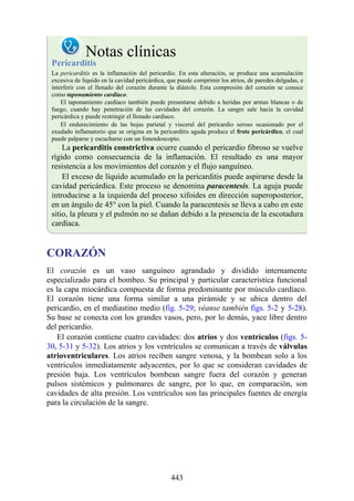 Notas clínicas
Pericarditis
La pericarditis es la inflamación del pericardio. En esta alteración, se produce una acumulación
excesiva de líquido en la cavidad pericárdica, que puede comprimir los atrios, de paredes delgadas, e
interferir con el llenado del corazón durante la diástole. Esta compresión del corazón se conoce
como taponamiento cardíaco.
El taponamiento cardíaco también puede presentarse debido a heridas por armas blancas o de
fuego, cuando hay penetración de las cavidades del corazón. La sangre sale hacia la cavidad
pericárdica y puede restringir el llenado cardíaco.
El endurecimiento de las hojas parietal y visceral del pericardio seroso ocasionado por el
exudado inflamatorio que se origina en la pericarditis aguda produce el frote pericárdico, el cual
puede palparse y escucharse con un fonendoscopio.
La pericarditis constrictiva ocurre cuando el pericardio fibroso se vuelve
rígido como consecuencia de la inflamación. El resultado es una mayor
resistencia a los movimientos del corazón y el flujo sanguíneo.
El exceso de líquido acumulado en la pericarditis puede aspirarse desde la
cavidad pericárdica. Este proceso se denomina paracentesis. La aguja puede
introducirse a la izquierda del proceso xifoides en dirección superoposterior,
en un ángulo de 45° con la piel. Cuando la paracentesis se lleva a cabo en este
sitio, la pleura y el pulmón no se dañan debido a la presencia de la escotadura
cardíaca.
CORAZÓN
El corazón es un vaso sanguíneo agrandado y dividido internamente
especializado para el bombeo. Su principal y particular característica funcional
es la capa miocárdica compuesta de forma predominante por músculo cardíaco.
El corazón tiene una forma similar a una pirámide y se ubica dentro del
pericardio, en el mediastino medio (fig. 5-29; véanse también figs. 5-2 y 5-28).
Su base se conecta con los grandes vasos, pero, por lo demás, yace libre dentro
del pericardio.
El corazón contiene cuatro cavidades: dos atrios y dos ventrículos (figs. 5-
30, 5-31 y 5-32). Los atrios y los ventrículos se comunican a través de válvulas
atrioventriculares. Los atrios reciben sangre venosa, y la bombean solo a los
ventrículos inmediatamente adyacentes, por lo que se consideran cavidades de
presión baja. Los ventrículos bombean sangre fuera del corazón y generan
pulsos sistémicos y pulmonares de sangre, por lo que, en comparación, son
cavidades de alta presión. Los ventrículos son las principales fuentes de energía
para la circulación de la sangre.
443
 