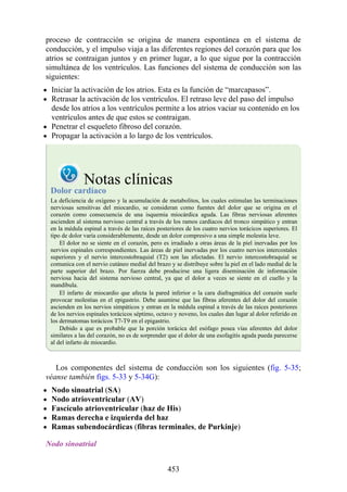 proceso de contracción se origina de manera espontánea en el sistema de
conducción, y el impulso viaja a las diferentes regiones del corazón para que los
atrios se contraigan juntos y en primer lugar, a lo que sigue por la contracción
simultánea de los ventrículos. Las funciones del sistema de conducción son las
siguientes:
Iniciar la activación de los atrios. Esta es la función de “marcapasos”.
Retrasar la activación de los ventrículos. El retraso leve del paso del impulso
desde los atrios a los ventrículos permite a los atrios vaciar su contenido en los
ventrículos antes de que estos se contraigan.
Penetrar el esqueleto fibroso del corazón.
Propagar la activación a lo largo de los ventrículos.
Notas clínicas
Dolor cardíaco
La deficiencia de oxígeno y la acumulación de metabolitos, los cuales estimulan las terminaciones
nerviosas sensitivas del miocardio, se consideran como fuentes del dolor que se origina en el
corazón como consecuencia de una isquemia miocárdica aguda. Las fibras nerviosas aferentes
ascienden al sistema nervioso central a través de los ramos cardíacos del tronco simpático y entran
en la médula espinal a través de las raíces posteriores de los cuatro nervios torácicos superiores. El
tipo de dolor varía considerablemente, desde un dolor compresivo a una simple molestia leve.
El dolor no se siente en el corazón, pero es irradiado a otras áreas de la piel inervadas por los
nervios espinales correspondientes. Las áreas de piel inervadas por los cuatro nervios intercostales
superiores y el nervio intercostobraquial (T2) son las afectadas. El nervio intercostobraquial se
comunica con el nervio cutáneo medial del brazo y se distribuye sobre la piel en el lado medial de la
parte superior del brazo. Por fuerza debe producirse una ligera diseminación de información
nerviosa hacia del sistema nervioso central, ya que el dolor a veces se siente en el cuello y la
mandíbula.
El infarto de miocardio que afecta la pared inferior o la cara diafragmática del corazón suele
provocar molestias en el epigastrio. Debe asumirse que las fibras aferentes del dolor del corazón
ascienden en los nervios simpáticos y entran en la médula espinal a través de las raíces posteriores
de los nervios espinales torácicos séptimo, octavo y noveno, los cuales dan lugar al dolor referido en
los dermatomas torácicos T7-T9 en el epigastrio.
Debido a que es probable que la porción torácica del esófago posea vías aferentes del dolor
similares a las del corazón, no es de sorprender que el dolor de una esofagitis aguda pueda parecerse
al del infarto de miocardio.
Los componentes del sistema de conducción son los siguientes (fig. 5-35;
véanse también figs. 5-33 y 5-34G):
Nodo sinoatrial (SA)
Nodo atrioventricular (AV)
Fascículo atrioventricular (haz de His)
Ramas derecha e izquierda del haz
Ramas subendocárdicas (fibras terminales, de Purkinje)
Nodo sinoatrial
453
 