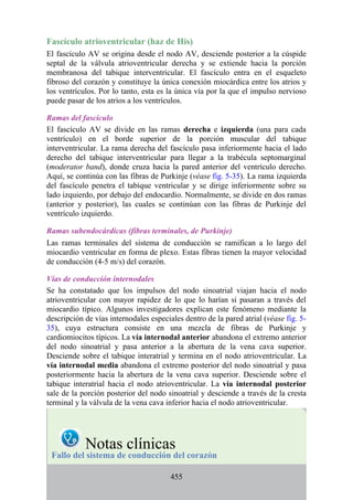 Fascículo atrioventricular (haz de His)
El fascículo AV se origina desde el nodo AV, desciende posterior a la cúspide
septal de la válvula atrioventricular derecha y se extiende hacia la porción
membranosa del tabique interventricular. El fascículo entra en el esqueleto
fibroso del corazón y constituye la única conexión miocárdica entre los atrios y
los ventrículos. Por lo tanto, esta es la única vía por la que el impulso nervioso
puede pasar de los atrios a los ventrículos.
Ramas del fascículo
El fascículo AV se divide en las ramas derecha e izquierda (una para cada
ventrículo) en el borde superior de la porción muscular del tabique
interventricular. La rama derecha del fascículo pasa inferiormente hacia el lado
derecho del tabique interventricular para llegar a la trabécula septomarginal
(moderator band), donde cruza hacia la pared anterior del ventrículo derecho.
Aquí, se continúa con las fibras de Purkinje (véase fig. 5-35). La rama izquierda
del fascículo penetra el tabique ventricular y se dirige inferiormente sobre su
lado izquierdo, por debajo del endocardio. Normalmente, se divide en dos ramas
(anterior y posterior), las cuales se continúan con las fibras de Purkinje del
ventrículo izquierdo.
Ramas subendocárdicas (fibras terminales, de Purkinje)
Las ramas terminales del sistema de conducción se ramifican a lo largo del
miocardio ventricular en forma de plexo. Estas fibras tienen la mayor velocidad
de conducción (4-5 m/s) del corazón.
Vías de conducción internodales
Se ha constatado que los impulsos del nodo sinoatrial viajan hacia el nodo
atrioventricular con mayor rapidez de lo que lo harían si pasaran a través del
miocardio típico. Algunos investigadores explican este fenómeno mediante la
descripción de vías internodales especiales dentro de la pared atrial (véase fig. 5-
35), cuya estructura consiste en una mezcla de fibras de Purkinje y
cardiomiocitos típicos. La vía internodal anterior abandona el extremo anterior
del nodo sinoatrial y pasa anterior a la abertura de la vena cava superior.
Desciende sobre el tabique interatrial y termina en el nodo atrioventricular. La
vía internodal media abandona el extremo posterior del nodo sinoatrial y pasa
posteriormente hacia la abertura de la vena cava superior. Desciende sobre el
tabique interatrial hacia el nodo atrioventricular. La vía internodal posterior
sale de la porción posterior del nodo sinoatrial y desciende a través de la cresta
terminal y la válvula de la vena cava inferior hacia el nodo atrioventricular.
Notas clínicas
Fallo del sistema de conducción del corazón
455
 