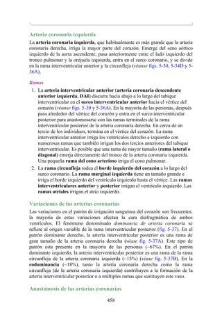 Arteria coronaria izquierda
La arteria coronaria izquierda, que habitualmente es más grande que la arteria
coronaria derecha, irriga la mayor parte del corazón. Emerge del seno aórtico
izquierdo de la aorta ascendente, pasa anteriormente entre el lado izquierdo del
tronco pulmonar y la orejuela izquierda, entra en el surco coronario, y se divide
en la rama interventricular anterior y la circunfleja (véanse figs. 5-30, 5-34D y 5-
36A).
Ramas
1. La arteria interventricular anterior (arteria coronaria descendente
anterior izquierda, DAI) discurre hacia abajo a lo largo del tabique
interventricular en el surco interventricular anterior hacia el vértice del
corazón (véanse figs. 5-30 y 5-36A). En la mayoría de las personas, después
pasa alrededor del vértice del corazón y entra en el surco interventricular
posterior para anastomosarse con las ramas terminales de la rama
interventricular posterior de la arteria coronaria derecha. En cerca de un
tercio de los individuos, termina en el vértice del corazón. La rama
interventricular anterior irriga los ventrículos derecho e izquierdo con
numerosas ramas que también irrigan los dos tercios anteriores del tabique
interventricular. Es posible que una rama de mayor tamaño (rama lateral o
diagonal) emerja directamente del tronco de la arteria coronaria izquierda.
Una pequeña rama del cono arterioso irriga el cono pulmonar.
2. La rama circunfleja rodea el borde izquierdo del corazón a lo largo del
surco coronario. La rama marginal izquierda tiene un tamaño grande e
irriga el borde izquierdo del ventrículo izquierdo hasta el vértice. Las ramas
interventriculares anterior y posterior irrigan el ventrículo izquierdo. Las
ramas atriales irrigan el atrio izquierdo.
Variaciones de las arterias coronarias
Las variaciones en el patrón de irrigación sanguínea del corazón son frecuentes;
la mayoría de estas variaciones afectan la cara diafragmática de ambos
ventrículos. El fenómeno denominado dominancia de arteria coronaria se
refiere al origen variable de la rama interventricular posterior (fig. 5-37). En el
patrón dominante derecho, la arteria interventricular posterior es una rama de
gran tamaño de la arteria coronaria derecha (véase fig. 5-37A). Este tipo de
patrón esta presente en la mayoría de las personas (~67%). En el patrón
dominante izquierdo, la arteria interventricular posterior es una rama de la rama
circunfleja de la arteria coronaria izquierda (~15%) (véase fig. 5-37B). En la
codominancia (~18%), tanto la arteria coronaria derecha como la rama
circunfleja (de la arteria coronaria izquierda) contribuyen a la formación de la
arteria interventricular posterior o a múltiples ramas que sustituyen este vaso.
Anastomosis de las arterias coronarias
458
 