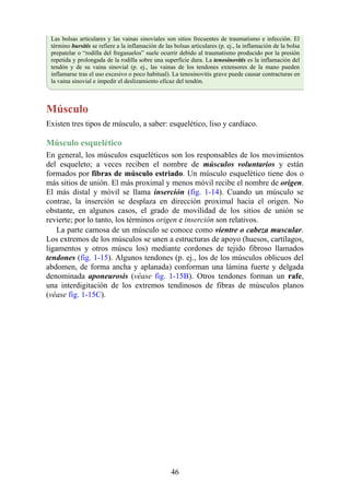 Las bolsas articulares y las vainas sinoviales son sitios frecuentes de traumatismo e infección. El
término bursitis se refiere a la inflamación de las bolsas articulares (p. ej., la inflamación de la bolsa
prepatelar o “rodilla del fregasuelos” suele ocurrir debido al traumatismo producido por la presión
repetida y prolongada de la rodilla sobre una superficie dura. La tenosinovitis es la inflamación del
tendón y de su vaina sinovial (p. ej., las vainas de los tendones extensores de la mano pueden
inflamarse tras el uso excesivo o poco habitual). La tenosinovitis grave puede causar contracturas en
la vaina sinovial e impedir el deslizamiento eficaz del tendón.
Músculo
Existen tres tipos de músculo, a saber: esquelético, liso y cardíaco.
Músculo esquelético
En general, los músculos esqueléticos son los responsables de los movimientos
del esqueleto; a veces reciben el nombre de músculos voluntarios y están
formados por fibras de músculo estriado. Un músculo esquelético tiene dos o
más sitios de unión. El más proximal y menos móvil recibe el nombre de origen.
El más distal y móvil se llama inserción (fig. 1-14). Cuando un músculo se
contrae, la inserción se desplaza en dirección proximal hacia el origen. No
obstante, en algunos casos, el grado de movilidad de los sitios de unión se
revierte; por lo tanto, los términos origen e inserción son relativos.
La parte carnosa de un músculo se conoce como vientre o cabeza muscular.
Los extremos de los músculos se unen a estructuras de apoyo (huesos, cartílagos,
ligamentos y otros múscu los) mediante cordones de tejido fibroso llamados
tendones (fig. 1-15). Algunos tendones (p. ej., los de los músculos oblicuos del
abdomen, de forma ancha y aplanada) conforman una lámina fuerte y delgada
denominada aponeurosis (véase fig. 1-15B). Otros tendones forman un rafe,
una interdigitación de los extremos tendinosos de fibras de músculos planos
(véase fig. 1-15C).
46
 