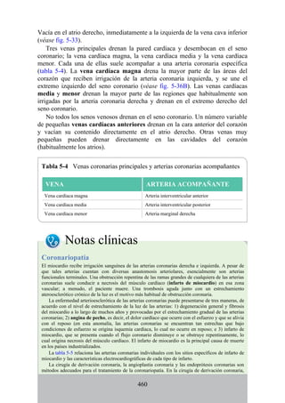 Vacía en el atrio derecho, inmediatamente a la izquierda de la vena cava inferior
(véase fig. 5-33).
Tres venas principales drenan la pared cardíaca y desembocan en el seno
coronario; la vena cardíaca magna, la vena cardíaca media y la vena cardíaca
menor. Cada una de ellas suele acompañar a una arteria coronaria específica
(tabla 5-4). La vena cardíaca magna drena la mayor parte de las áreas del
corazón que reciben irrigación de la arteria coronaria izquierda, y se une el
extremo izquierdo del seno coronario (véase fig. 5-36B). Las venas cardíacas
media y menor drenan la mayor parte de las regiones que habitualmente son
irrigadas por la arteria coronaria derecha y drenan en el extremo derecho del
seno coronario.
No todos los senos venosos drenan en el seno coronario. Un número variable
de pequeñas venas cardíacas anteriores drenan en la cara anterior del corazón
y vacían su contenido directamente en el atrio derecho. Otras venas muy
pequeñas pueden drenar directamente en las cavidades del corazón
(habitualmente los atrios).
Tabla 5-4 Venas coronarias principales y arterias coronarias acompañantes
VENA ARTERIA ACOMPAÑANTE
Vena cardíaca magna Arteria interventricular anterior
Vena cardíaca media Arteria interventricular posterior
Vena cardíaca menor Arteria marginal derecha
Notas clínicas
Coronariopatía
El miocardio recibe irrigación sanguínea de las arterias coronarias derecha e izquierda. A pesar de
que tales arterias cuentan con diversas anastomosis arteriolares, esencialmente son arterias
funcionales terminales. Una obstrucción repentina de las ramas grandes de cualquiera de las arterias
coronarias suele conducir a necrosis del músculo cardíaco (infarto de miocardio) en esa zona
vascular; a menudo, el paciente muere. Una trombosis aguda junto con un estrechamiento
ateroesclerótico crónico de la luz es el motivo más habitual de obstrucción coronaria.
La enfermedad arterioesclerótica de las arterias coronarias puede presentarse de tres maneras, de
acuerdo con el nivel de estrechamiento de la luz de las arterias: 1) degeneración general y fibrosis
del miocardio a lo largo de muchos años y provocadas por el estrechamiento gradual de las arterias
coronarias; 2) angina de pecho, es decir, el dolor cardíaco que ocurre con el esfuerzo y que se alivia
con el reposo (en esta anomalía, las arterias coronarias se encuentran tan estrechas que bajo
condiciones de esfuerzo se origina isquemia cardíaca, lo cual no ocurre en reposo; e 3) infarto de
miocardio, que se presenta cuando el flujo coronario disminuye o se obstruye repentinamente, lo
cual origina necrosis del músculo cardíaco. El infarto de miocardio es la principal causa de muerte
en los países industrializados.
La tabla 5-5 relaciona las arterias coronarias individuales con los sitios específicos de infarto de
miocardio y las características electrocardiográficas de cada tipo de infarto.
La cirugía de derivación coronaria, la angioplastia coronaria y las endoprótesis coronarias son
métodos adecuados para el tratamiento de la coronariopatía. En la cirugía de derivación coronaria,
460
 