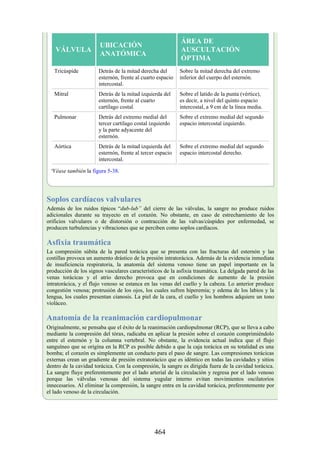 VÁLVULA
UBICACIÓN
ANATÓMICA
ÁREA DE
AUSCULTACIÓN
ÓPTIMA
Tricúspide Detrás de la mitad derecha del
esternón, frente al cuarto espacio
intercostal.
Sobre la mitad derecha del extremo
inferior del cuerpo del esternón.
Mitral Detrás de la mitad izquierda del
esternón, frente al cuarto
cartílago costal.
Sobre el latido de la punta (vértice),
es decir, a nivel del quinto espacio
intercostal, a 9 cm de la línea media.
Pulmonar Detrás del extremo medial del
tercer cartílago costal izquierdo
y la parte adyacente del
esternón.
Sobre el extremo medial del segundo
espacio intercostal izquierdo.
Aórtica Detrás de la mitad izquierda del
esternón, frente al tercer espacio
intercostal.
Sobre el extremo medial del segundo
espacio intercostal derecho.
ªVéase también la figura 5-38.
Soplos cardíacos valvulares
Además de los ruidos típicos “dub-lub” del cierre de las válvulas, la sangre no produce ruidos
adicionales durante su trayecto en el corazón. No obstante, en caso de estrechamiento de los
orificios valvulares o de distorsión o contracción de las valvas/cúspides por enfermedad, se
producen turbulencias y vibraciones que se perciben como soplos cardíacos.
Asfixia traumática
La compresión súbita de la pared torácica que se presenta con las fracturas del esternón y las
costillas provoca un aumento drástico de la presión intratorácica. Además de la evidencia inmediata
de insuficiencia respiratoria, la anatomía del sistema venoso tiene un papel importante en la
producción de los signos vasculares característicos de la asfixia traumática. La delgada pared de las
venas torácicas y el atrio derecho provoca que en condiciones de aumento de la presión
intratorácica, y el flujo venoso se estanca en las venas del cuello y la cabeza. Lo anterior produce
congestión venosa; protrusión de los ojos, los cuales sufren hiperemia; y edema de los labios y la
lengua, los cuales presentan cianosis. La piel de la cara, el cuello y los hombros adquiere un tono
violáceo.
Anatomía de la reanimación cardiopulmonar
Originalmente, se pensaba que el éxito de la reanimación cardiopulmonar (RCP), que se lleva a cabo
mediante la compresión del tórax, radicaba en aplicar la presión sobre el corazón comprimiéndolo
entre el esternón y la columna vertebral. No obstante, la evidencia actual indica que el flujo
sanguíneo que se origina en la RCP es posible debido a que la caja torácica en su totalidad es una
bomba; el corazón es simplemente un conducto para el paso de sangre. Las compresiones torácicas
externas crean un gradiente de presión extratorácico que es idéntico en todas las cavidades y sitios
dentro de la cavidad torácica. Con la compresión, la sangre es dirigida fuera de la cavidad torácica.
La sangre fluye preferentemente por el lado arterial de la circulación y regresa por el lado venoso
porque las válvulas venosas del sistema yugular interno evitan movimientos oscilatorios
innecesarios. Al eliminar la compresión, la sangre entra en la cavidad torácica, preferentemente por
el lado venoso de la circulación.
464
 