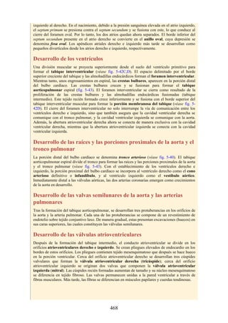 izquierdo al derecho. En el nacimiento, debido a la presión sanguínea elevada en el atrio izquierdo,
el septum primum se presiona contra el septum secundum y se fusiona con este, lo que conduce al
cierre del foramen oval. Por lo tanto, los dos atrios quedan ahora separados. El borde inferior del
septum secundum presente en el atrio derecho se convierte en el anillo oval, cuya depresión se
denomina fosa oval. Los apéndices atriales derecho e izquierdo más tarde se desarrollan como
pequeños divertículos desde los atrios derecho e izquierdo, respectivamente.
Desarrollo de los ventrículos
Una división muscular se proyecta superiormente desde el suelo del ventrículo primitivo para
formar el tabique interventricular (véase fig. 5-42C,D). El espacio delimitado por el borde
superior creciente del tabique y las almohadillas endocárdicos forman el foramen interventricular.
Mientras tanto, unos engrosamientos en espiral, las crestas bulbares, aparecen en la porción distal
del bulbo cardíaco. Las crestas bulbares crecen y se fusionan para formar el tabique
aorticopulmonar espiral (fig. 5-43). El foramen interventricular se cierra como resultado de la
proliferación de las crestas bulbares y las almohadillas endocárdicas fusionadas (tabique
intermedio). Este tejido recién formado crece inferiormente y se fusiona con el borde superior del
tabique interventricular muscular para formar la porción membranosa del tabique (véase fig. 5-
42D). El cierre del foramen interventricular no solo interrumpe la vía de comunicación entre los
ventrículos derecho e izquierdo, sino que también asegura que la cavidad ventricular derecha se
comunique con el tronco pulmonar, y la cavidad ventricular izquierda se comunique con la aorta.
Además, la abertura atrioventricular derecha ahora se conecta de manera exclusiva con la cavidad
ventricular derecha, mientras que la abertura atrioventricular izquierda se conecta con la cavidad
ventricular izquierda.
Desarrollo de las raíces y las porciones proximales de la aorta y el
tronco pulmonar
La porción distal del bulbo cardíaco se denomina tronco arterioso (véase fig. 5-40). El tabique
aorticopulmonar espiral divide el tronco para formar las raíces y las porciones proximales de la aorta
y el tronco pulmonar (véase fig. 5-43). Con el establecimiento de los ventrículos derecho e
izquierdo, la porción proximal del bulbo cardíaco se incorpora al ventrículo derecho como el cono
arterioso definitivo o infundíbulo, y al ventrículo izquierdo como el vestíbulo aórtico.
Inmediatamnte distal a las válvulas aórticas, las dos arterias coronarias emergen como crecimientos
de la aorta en desarrollo.
Desarrollo de las valvas semilunares de la aorta y las arterias
pulmonares
Tras la formación del tabique aorticopulmonar, se desarrollan tres protuberancias en los orificios de
la aorta y la arteria pulmonar. Cada una de las protuberancias se compone de un revestimiento de
endotelio sobre tejido conjuntivo laxo. De manera gradual, estas presentan excavaciones (huecos) en
sus caras superiores, las cuales constituyen las válvulas semilunares.
Desarrollo de las válvulas atrioventriculares
Después de la formación del tabique intermedio, el conducto atrioventricular se divide en los
orificios atrioventriculares derecho e izquierdo. Se crean pliegues elevados de endocardio en los
bordes de estos orificios. Los pliegues contienen tejido mesenquimatoso que después se hace hueco
en la porción ventricular. Cerca del orificio atrioventricular derecho se desarrollan tres cúspides
valvulares que forman la válvula atrioventricular derecha (tricúspide); cerca del orificio
atrioventricular izquierdo se originan dos valvas que componen la válvula atrioventricular
izquierda (mitral). Las cúspides recién formadas aumentan de tamaño y su núcleo mesenquimatoso
se diferencia en tejido fibroso. Las valvas permanecen unidas a la pared ventricular a través de
fibras musculares. Más tarde, las fibras se diferencian en músculos papilares y cuerdas tendinosas.
468
 