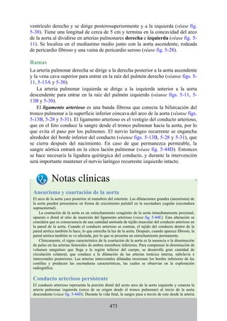 ventrículo derecho y se dirige posterosuperiormente y a la izquierda (véase fig.
5-30). Tiene una longitud de cerca de 5 cm y termina en la concavidad del arco
de la aorta al dividirse en arterias pulmonares derecha e izquierda (véase fig. 5-
11). Se localiza en el mediastino medio junto con la aorta ascendente, rodeada
de pericardio fibroso y una vaina de pericardio seroso (véase fig. 5-28).
Ramas
La arteria pulmonar derecha se dirige a la derecha posterior a la aorta ascendente
y la vena cava superior para entrar en la raíz del pulmón derecho (véanse figs. 5-
11, 5-13A y 5-30).
La arteria pulmonar izquierda se dirige a la izquierda anterior a la aorta
descendente para entrar en la raíz del pulmón izquierdo (véanse figs. 5-11, 5-
13B y 5-30).
El ligamento arterioso es una banda fibrosa que conecta la bifurcación del
tronco pulmonar a la superficie inferior cóncava del arco de la aorta (véanse figs.
5-13B, 5-28 y 5-31). El ligamento arterioso es el vestigio del conducto arterioso,
que en el feto conduce la sangre desde el tronco pulmonar hacia la aorta, por lo
que evita el paso por los pulmones. El nervio laríngeo recurrente se engancha
alrededor del borde inferior del conducto (véanse figs. 5-13B, 5-28 y 5-31), que
se cierra después del nacimiento. En caso de que permanezca permeable, la
sangre aórtica entrará en la circu lación pulmonar (véase fig. 5-44D). Entonces
se hace necesaria la ligadura quirúrgica del conducto, y durante la intervención
será importante mantener el nervio laríngeo recurrente izquierdo intacto.
Notas clínicas
Aneurisma y coartación de la aorta
El arco de la aorta yace posterior al manubrio del esternón. Las dilataciones grandes (aneurisma) de
la aorta pueden presentarse en forma de crecimiento pulsátil en la escotadura yugular (escotadura
supraesternal).
La coartación de la aorta es un estrechamiento congénito de la aorta inmediatamente proximal,
opuesto o distal al sitio de inserción del ligamento arterioso (véase fig. 5-44E). Esta alteración se
considera que es consecuencia de una cantidad anómala de tejido muscular del conducto arterioso en
la pared de la aorta. Cuando el conducto arterioso se contrae, el tejido del conducto dentro de la
pared aórtica también lo hace, lo que estrecha la luz de la aorta. Después, cuando aparece fibrosis, la
pared aórtica también se ve afectada, por lo que se presenta un estrechamiento permanente.
Clínicamente, el signo característico de la coartación de la aorta es la ausencia o la disminución
de pulso en las arterias femorales de ambos miembros inferiores. Para compensar la disminución de
volumen sanguíneo que llega a la región inferior del cuerpo, se desarrolla gran cantidad de
circulación colateral, que conduce a la dilatación de las arterias torácica interna, subclavia e
intercostales posteriores. Las arterias intercostales dilatadas erosionan los bordes inferiores de las
costillas y producen las escotaduras características, las cuales se observan en la exploración
radiográfica.
Conducto arterioso persistente
El conducto arterioso representa la porción distal del sexto arco de la aorta izquierdo y conecta la
arteria pulmonar izquierda (cerca de su origen desde el tronco pulmonar) al inicio de la aorta
descendente (véase fig. 5-44D). Durante la vida fetal, la sangre pasa a través de este desde la arteria
473
 