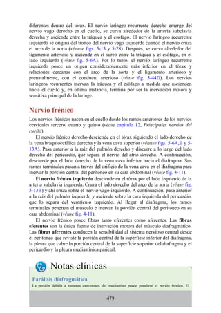diferentes dentro del tórax. El nervio laríngeo recurrente derecho emerge del
nervio vago derecho en el cuello, se curva alrededor de la arteria subclavia
derecha y asciende entre la tráquea y el esófago. El nervio laríngeo recurrente
izquierdo se origina del tronco del nervio vago izquierdo cuando el nervio cruza
el arco de la aorta (véanse figs. 5-13 y 5-28). Después, se curva alrededor del
ligamento arterioso y asciende en el surco entre la tráquea y el esófago, en el
lado izquierdo (véase fig. 5-6A). Por lo tanto, el nervio laríngeo recurrente
izquierdo posee un origen considerablemente más inferior en el tórax y
relaciones cercanas con el arco de la aorta y el ligamento arterioso y
prenatalmente, con el conducto arterioso (véase fig. 5-44D). Los nervios
laríngeos recurrentes inervan la tráquea y el esófago a medida que ascienden
hacia el cuello y, en última instancia, termina por ser la inervación motora y
sensitiva principal de la laringe.
Nervio frénico
Los nervios frénicos nacen en el cuello desde los ramos anteriores de los nervios
cervicales tercero, cuarto y quinto (véase capítulo 12, Principales nervios del
cuello).
El nervio frénico derecho desciende en el tórax siguiendo el lado derecho de
la vena braquiocefálica derecha y la vena cava superior (véanse figs. 5-6A,B y 5-
13A). Pasa anterior a la raíz del pulmón derecho y discurre a lo largo del lado
derecho del pericardio, que separa el nervio del atrio derecho. A continuación,
desciende por el lado derecho de la vena cava inferior hacia el diafragma. Sus
ramos terminales pasan a través del orificio de la vena cava en el diafragma para
inervar la porción central del peritoneo en su cara abdominal (véase fig. 4-11).
El nervio frénico izquierdo desciende en el tórax por el lado izquierdo de la
arteria subclavia izquierda. Cruza el lado derecho del arco de la aorta (véase fig.
5-13B) y ahí cruza sobre el nervio vago izquierdo. A continuación, pasa anterior
a la raíz del pulmón izquierdo y asciende sobre la cara izquierda del pericardio,
que lo separa del ventrículo izquierdo. Al llegar al diafragma, los ramos
terminales penetran el músculo e inervan la porción central del peritoneo en su
cara abdominal (véase fig. 4-11).
El nervio frénico posee fibras tanto eferentes como aferentes. Las fibras
eferentes son la única fuente de inervación motora del músculo diafragmático.
Las fibras aferentes conducen la sensibilidad al sistema nervioso central desde
el peritoneo que reviste la porción central de la superficie inferior del diafragma,
la pleura que cubre la porción central de la superficie superior del diafragma y el
pericardio y la pleura mediastínica parietal.
Notas clínicas
Parálisis diafragmática
La presión debida a tumores cancerosos del mediastino puede paralizar el nervio frénico. El
479
 
