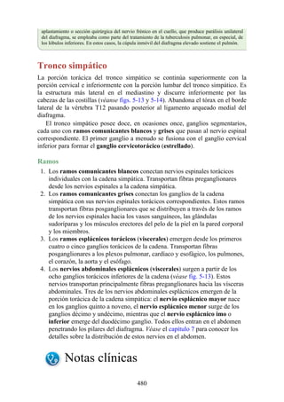 aplastamiento o sección quirúrgica del nervio frénico en el cuello, que produce parálisis unilateral
del diafragma, se empleaba como parte del tratamiento de la tuberculosis pulmonar, en especial, de
los lóbulos inferiores. En estos casos, la cúpula inmóvil del diafragma elevado sostiene el pulmón.
Tronco simpático
La porción torácica del tronco simpático se continúa superiormente con la
porción cervical e inferiormente con la porción lumbar del tronco simpático. Es
la estructura más lateral en el mediastino y discurre inferiormente por las
cabezas de las costillas (véanse figs. 5-13 y 5-14). Abandona el tórax en el borde
lateral de la vértebra T12 pasando posterior al ligamento arqueado medial del
diafragma.
El tronco simpático posee doce, en ocasiones once, ganglios segmentarios,
cada uno con ramos comunicantes blancos y grises que pasan al nervio espinal
correspondiente. El primer ganglio a menudo se fusiona con el ganglio cervical
inferior para formar el ganglio cervicotorácico (estrellado).
Ramos
1. Los ramos comunicantes blancos conectan nervios espinales torácicos
individuales con la cadena simpática. Transportan fibras preganglionares
desde los nervios espinales a la cadena simpática.
2. Los ramos comunicantes grises conectan los ganglios de la cadena
simpática con sus nervios espinales torácicos correspondientes. Estos ramos
transportan fibras posganglionares que se distribuyen a través de los ramos
de los nervios espinales hacia los vasos sanguíneos, las glándulas
sudoríparas y los músculos erectores del pelo de la piel en la pared corporal
y los miembros.
3. Los ramos esplácnicos torácicos (viscerales) emergen desde los primeros
cuatro o cinco ganglios torácicos de la cadena. Transportan fibras
posganglionares a los plexos pulmonar, cardíaco y esofágico, los pulmones,
el corazón, la aorta y el esófago.
4. Los nervios abdominales esplácnicos (viscerales) surgen a partir de los
ocho ganglios torácicos inferiores de la cadena (véase fig. 5-13). Estos
nervios transportan principalmente fibras preganglionares hacia las vísceras
abdominales. Tres de los nervios abdominales esplácnicos emergen de la
porción torácica de la cadena simpática: el nervio esplácnico mayor nace
en los ganglios quinto a noveno, el nervio esplácnico menor surge de los
ganglios décimo y undécimo, mientras que el nervio esplácnico imo o
inferior emerge del duodécimo ganglio. Todos ellos entran en el abdomen
penetrando los pilares del diafragma. Véase el capítulo 7 para conocer los
detalles sobre la distribución de estos nervios en el abdomen.
Notas clínicas
480
 