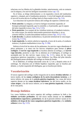 relaciona con los lóbulos de la glándula tiroides; anteriormente, está en contacto
con la tráquea y los nervios laríngeos recurrentes (véase cap. 12).
En el tórax, se dirige inferiormente y a la izquierda a través del mediastino
superior y, después, por el mediastino posterior. A nivel del ángulo del esternón,
el arco de la aorta desvía el esófago hacia la línea media (véase fig. 5-6).
Las relaciones de la porción torácica del esófago de superior a inferior son:
Parte anterior. La tráquea y el nervio laríngeo recurrente izquierdo; el
bronquio principal izquierdo, que lo constriñe; y el pericardio, que lo separa
del atrio izquierdo (véanse figs. 5-6 y 5-32).
Parte posterior. Los cuerpos de las vértebras torácicas, el conducto torácico,
las venas ácigos, las arterias intercostales posteriores derechas y, en su
extremo inferior, la aorta descendente torácica (véanse figs. 5-6 y 5-32).
Lado derecho. La pleura mediastínica y la porción terminal de la vena ácigos
(véase fig. 5-13A).
Lado izquierdo. La arteria subclavia izquierda, el arco de la aorta, el conducto
torácico y la pleura mediastínica (véase fig. 5-13B).
Inferior al nivel de las raíces de los pulmones, los nervios vagos abandonan el
plexo pulmonar y se unen con los nervios simpáticos para formar el plexo
esofágico. El nervio vago izquierdo se localiza anterior al esófago, y el nervio
vago derecho, posterior a este. En su abertura en el diafragma, el esófago se
acompaña por los dos nervios vagos (véase fig. 4-11), ramas de los vasos
sanguíneos gástricos izquierdos y vasos linfáticos. Las fibras del pilar derecho
del diafragma pasan alrededor del esófago en forma de honda.
En el abdomen, el esófago desciende cerca de 1,3 cm y después entra en el
estómago. Se relaciona con el lóbulo hepático izquierdo, que se localiza por
delante, y el pilar izquierdo del diafragma, que se localiza por detrás.
Vascularización
El tercio superior del esófago recibe irrigación de la arteria tiroidea inferior; el
tercio medio, de las ramas esofágicas de la aorta descendente torácica; y el
tercio inferior, de ramas de la arteria gástrica izquierda. Las venas del tercio
superior drenan en las venas tiroideas inferiores; las del tercio medio, en las
venas ácigos; y las del tercio inferior, en la vena gástrica izquierda, tributaria
de la vena porta.
Drenaje linfático
Los vasos linfáticos del tercio superior del esófago conducen la linfa a los
nódulos cervicales profundos; los del tercio medio drenan en los nódulos
mediastínicos superiores y posteriores; los de la porción inferior vacían en los
nódulos a lo largo de los vasos sanguíneos gástricos izquierdos y los nódulos
celíacos (véase fig. 5-22).
482
 