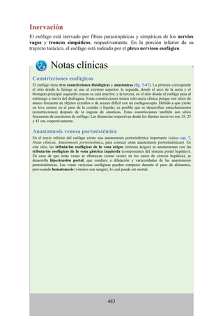 Inervación
El esófago está inervado por fibras parasimpáticas y simpáticas de los nervios
vagos y troncos simpáticos, respectivamente. En la porción inferior de su
trayecto torácico, el esófago está rodeado por el plexo nervioso esofágico.
Notas clínicas
Constricciones esofágicas
El esófago tiene tres constricciones fisiológicas y anatómicas (fig. 5-47). La primera corresponde
al sitio donde la faringe se une al extremo superior; la segunda, donde el arco de la aorta y el
bronquio principal izquierdo cruzan su cara anterior; y la tercera, en el sitio donde el esófago pasa al
estómago a través del diafragma. Estas constricciones tienen relevancia clínica porque son sitios de
atasco frecuente de objetos extraños o de acceso difícil con un esofagoscopio. Debido a que existe
un leve retraso en el paso de la comida o líquido, es posible que se desarrollen estrechamientos
(constricciones) después de la ingesta de cáusticos. Estas constricciones también son sitios
frecuentes de carcinoma de esófago. Las distancias respectivas desde los dientes incisivos son 15, 25
y 41 cm, respectivamente.
Anastomosis venosa portosistémica
En el tercio inferior del esófago existe una anastomosis portosistémica importante (véase cap. 7,
Notas clínicas, Anastomosis portosistémica, para conocer otras anastomosis portosistémicas). En
este sitio, las tributarias esofágicas de la vena ácigos (sistema ácigos) se anastomosan con las
tributarias esofágicas de la vena gástrica izquierda (componentes del sistema portal hepático).
En caso de que estas venas se obstruyan (como ocurre en los casos de cirrosis hepática), se
desarrolla hipertensión portal, que conduce a dilatación y varicosidades de las anastomosis
portosistémicas. Las venas varicosas esofágicas pueden romperse durante el paso de alimentos,
provocando hematemesis (vómitos con sangre), lo cual puede ser mortal.
483
 