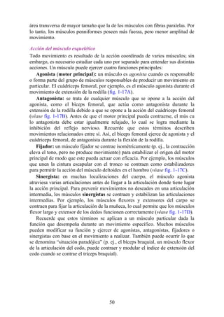 área transversa de mayor tamaño que la de los músculos con fibras paralelas. Por
lo tanto, los músculos penniformes poseen más fuerza, pero menor amplitud de
movimiento.
Acción del músculo esquelético
Todo movimiento es resultado de la acción coordinada de varios músculos; sin
embargo, es necesario estudiar cada uno por separado para entender sus distintas
acciones. Un músculo puede ejercer cuatro funciones principales:
Agonista (motor principal): un músculo es agonista cuando es responsable
o forma parte del grupo de músculos responsables de producir un movimiento en
particular. El cuádriceps femoral, por ejemplo, es el músculo agonista durante el
movimiento de extensión de la rodilla (fig. 1-17A).
Antagonista: se trata de cualquier músculo que se opone a la acción del
agonista, como el bíceps femoral, que actúa como antagonista durante la
extensión de la rodilla debido a que se opone a la acción del cuádriceps femoral
(véase fig. 1-17B). Antes de que el motor principal pueda contraerse, el mús cu
lo antagonista debe estar igualmente relajado, lo cual se logra mediante la
inhibición del reflejo nervioso. Recuerde que estos términos describen
movimientos relacionados entre sí. Así, el bíceps femoral ejerce de agonista y el
cuádriceps femoral, de antagonista durante la flexión de la rodilla.
Fijador: un músculo fijador se contrae isométricamente (p. ej., la contracción
eleva el tono, pero no produce movimiento) para estabilizar el origen del motor
principal de modo que este pueda actuar con eficacia. Por ejemplo, los músculos
que unen la cintura escapular con el tronco se contraen como estabilizadores
para permitir la acción del músculo deltoides en el hombro (véase fig. 1-17C).
Sinergista: en muchas localizaciones del cuerpo, el músculo agonista
atraviesa varias articulaciones antes de llegar a la articulación donde tiene lugar
la acción principal. Para prevenir movimientos no deseados en una articulación
intermedia, los músculos sinergistas se contraen y estabilizan las articulaciones
intermedias. Por ejemplo, los músculos flexores y extensores del carpo se
contraen para fijar la articulación de la muñeca, lo cual permite que los músculos
flexor largo y extensor de los dedos funcionen correctamente (véase fig. 1-17D).
Recuerde que estos términos se aplican a un músculo particular dada la
función que desempeña durante un movimiento específico. Muchos músculos
pueden modificar su función y ejercer de agonistas, antagonistas, fijadores o
sinergistas con base en el movimiento a realizar. También puede ocurrir lo que
se denomina “situación paradójica” (p. ej., el bíceps braquial, un músculo flexor
de la articulación del codo, puede contraer y modular el índice de extensión del
codo cuando se contrae el tríceps braquial).
50
 
