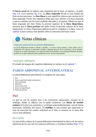 El hueso coxal (de la cadera) está compuesto por el ilion, el isquion y el pubis
(fig. 6-4; véase también fig. 6-1). La línea arqueada divide la cara medial del
ilion en dos porciones. La fosa ilíaca es una superficie cóncava por encima de la
línea arqueada. Existe una superficie plana que yace inferior a la línea arqueada
y que se continúa con las caras mediales del pubis y el isquion. Obsérvese que la
línea arqueada del ilion forma la porción superior de la línea iliopectínea,
mientras que la línea pectínea del pubis forma la porción anterior de la línea
iliopectínea. La línea iliopectínea delimita la pelvis verdadera y la falsa. Véase el
capítulo 8 para conocer más detalles sobre la estructura del hueso coxal.
Notas clínicas
Aspecto general de la pared abdominal
La pared abdominal normal es blanda y flexible, y se mueve hacia adentro y hacia afuera con la
respiración. El contorno es altamente variable y depende del tono de los músculos y de la cantidad
de grasa en el tejido subcutáneo. Los músculos bien desarrollados o una cantidad abundante de grasa
pueden ser un gran obstáculo para la palpación de las vísceras abdominales.
Anatomía radiológica
El estudio de imagen del esqueleto abdominal se incluye en el capítulo 7.
PARED ABDOMINAL ANTEROLATERAL
La pared abdominal anterolateral se compone de siete capas:
Piel
Fascia superficial (tejido subcutáneo)
Fascia profunda
Músculos
Fascia transversal
Fascia extraperitoneal
Peritoneo parietal
Piel
La piel se une de manera laxa a las estructuras subyacentes, excepto en el
ombligo, donde se adhiere con el tejido cicatricial. Las líneas de tensión
cutánea de la piel son constantes y se dirigen anteroinferiormente, casi de forma
horizontal, alrededor del tronco. El ombligo es una cicatriz que representa el
sitio de inserción del cordón umbilical en el feto; se localiza en la línea alba
(véase más adelante).
Inervación
La inervación cutánea de la pared abdominal anterolateral se deriva de los ramos
anteriores de los seis nervios torácicos inferiores y el primero lumbar (figs. 6-5 y
510
 