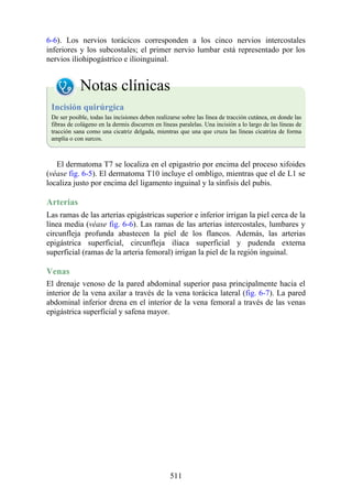 6-6). Los nervios torácicos corresponden a los cinco nervios intercostales
inferiores y los subcostales; el primer nervio lumbar está representado por los
nervios iliohipogástrico e ilioinguinal.
Notas clínicas
Incisión quirúrgica
De ser posible, todas las incisiones deben realizarse sobre las línea de tracción cutánea, en donde las
fibras de colágeno en la dermis discurren en líneas paralelas. Una incisión a lo largo de las líneas de
tracción sana como una cicatriz delgada, mientras que una que cruza las líneas cicatriza de forma
amplia o con surcos.
El dermatoma T7 se localiza en el epigastrio por encima del proceso xifoides
(véase fig. 6-5). El dermatoma T10 incluye el ombligo, mientras que el de L1 se
localiza justo por encima del ligamento inguinal y la sínfisis del pubis.
Arterias
Las ramas de las arterias epigástricas superior e inferior irrigan la piel cerca de la
línea media (véase fig. 6-6). Las ramas de las arterias intercostales, lumbares y
circunfleja profunda abastecen la piel de los flancos. Además, las arterias
epigástrica superficial, circunfleja ilíaca superficial y pudenda externa
superficial (ramas de la arteria femoral) irrigan la piel de la región inguinal.
Venas
El drenaje venoso de la pared abdominal superior pasa principalmente hacia el
interior de la vena axilar a través de la vena torácica lateral (fig. 6-7). La pared
abdominal inferior drena en el interior de la vena femoral a través de las venas
epigástrica superficial y safena mayor.
511
 