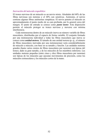 Inervación del músculo esquelético
El tronco nervioso de un músculo es un nervio mixto. Alrededor del 60% de las
fibras nerviosas son motoras y el 40% son sensitivas. Asimismo, el nervio
contiene algunas fibras autónomas simpáticas. El nervio penetra el músculo en
aproximadamente el punto medio de su cara profunda, por lo general cerca del
margen. El punto de entrada se conoce como punto motor. Esta disposición
permite al músculo proteger su tronco nervioso y moverse con mínima
interferencia.
Cada motoneurona dentro de un músculo inerva un número variable de fibras
musculares, distribuidas por el espacio de forma variable. El conjunto formado
por una motoneurona individual y todas las fibras musculares que inerva se
conoce como unidad motora. El tamaño de una unidad motora (p. ej., el número
de fibras musculares inervadas por una motoneurona) varía considerablemente
de músculo a músculo, con base en su tamaño y función. Las unidades motoras
grandes (hasta varios cientos de fibras musculares por neurona) son típicas del
tronco, dado su gran tamaño, y de los músculos de los miembros inferiores. Las
unidades motoras pequeñas (entre cinco y diez fibras musculares por neurona)
son típicas de los músculos que ejecutan movimientos de precisión, como los
músculos extraoculares y los músculos cortos de la mano.
52
 