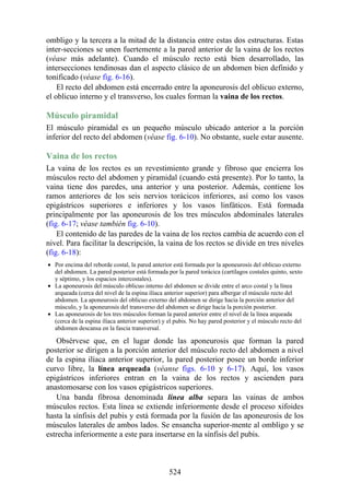 ombligo y la tercera a la mitad de la distancia entre estas dos estructuras. Estas
inter-secciones se unen fuertemente a la pared anterior de la vaina de los rectos
(véase más adelante). Cuando el músculo recto está bien desarrollado, las
intersecciones tendinosas dan el aspecto clásico de un abdomen bien definido y
tonificado (véase fig. 6-16).
El recto del abdomen está encerrado entre la aponeurosis del oblicuo externo,
el oblicuo interno y el transverso, los cuales forman la vaina de los rectos.
Músculo piramidal
El músculo piramidal es un pequeño músculo ubicado anterior a la porción
inferior del recto del abdomen (véase fig. 6-10). No obstante, suele estar ausente.
Vaina de los rectos
La vaina de los rectos es un revestimiento grande y fibroso que encierra los
músculos recto del abdomen y piramidal (cuando está presente). Por lo tanto, la
vaina tiene dos paredes, una anterior y una posterior. Además, contiene los
ramos anteriores de los seis nervios torácicos inferiores, así como los vasos
epigástricos superiores e inferiores y los vasos linfáticos. Está formada
principalmente por las aponeurosis de los tres músculos abdominales laterales
(fig. 6-17; véase también fig. 6-10).
El contenido de las paredes de la vaina de los rectos cambia de acuerdo con el
nivel. Para facilitar la descripción, la vaina de los rectos se divide en tres niveles
(fig. 6-18):
Por encima del reborde costal, la pared anterior está formada por la aponeurosis del oblicuo externo
del abdomen. La pared posterior está formada por la pared torácica (cartílagos costales quinto, sexto
y séptimo, y los espacios intercostales).
La aponeurosis del músculo oblicuo interno del abdomen se divide entre el arco costal y la línea
arqueada (cerca del nivel de la espina ilíaca anterior superior) para albergar el músculo recto del
abdomen. La aponeurosis del oblicuo externo del abdomen se dirige hacia la porción anterior del
músculo, y la aponeurosis del transverso del abdomen se dirige hacia la porción posterior.
Las aponeurosis de los tres músculos forman la pared anterior entre el nivel de la línea arqueada
(cerca de la espina ilíaca anterior superior) y el pubis. No hay pared posterior y el músculo recto del
abdomen descansa en la fascia transversal.
Obsérvese que, en el lugar donde las aponeurosis que forman la pared
posterior se dirigen a la porción anterior del músculo recto del abdomen a nivel
de la espina ilíaca anterior superior, la pared posterior posee un borde inferior
curvo libre, la línea arqueada (véanse figs. 6-10 y 6-17). Aquí, los vasos
epigástricos inferiores entran en la vaina de los rectos y ascienden para
anastomosarse con los vasos epigástricos superiores.
Una banda fibrosa denominada línea alba separa las vainas de ambos
músculos rectos. Esta línea se extiende inferiormente desde el proceso xifoides
hasta la sínfisis del pubis y está formada por la fusión de las aponeurosis de los
músculos laterales de ambos lados. Se ensancha superior-mente al ombligo y se
estrecha inferiormente a este para insertarse en la sínfisis del pubis.
524
 