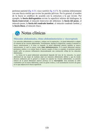 peritoneo parietal (fig. 6-21; véase también fig. 6-17). Se continúa inferiormente
con una fascia similar que reviste las paredes pélvicas. Por lo general, el nombre
de la fascia se establece de acuerdo con la estructura a la que reviste. Por
ejemplo, la fascia diafragmática reviste la superficie inferior del diafragma; la
fascia transversal, el músculo transverso del abdomen; la fascia del psoas, el
músculo psoas; la fascia del cuadrado lumbar, el músculo cuadrado lumbar, y
la fascia ilíaca, el músculo ilíaco.
Notas clínicas
Músculos abdominales, ritmo abdominotorácico y visceroptosis
Los músculos abdominales se contraen y relajan con la respiración, y la pared abdominal se adapta
al volumen de las vísceras abdominales. Normalmente, durante la inspiración, cuando el esternón se
mueve anteriormente y el tórax se expande, la pared abdominal anterior también se mueve
anteriormente, lo cual se conoce como ritmo abdominotorácico. Si la pared abdominal anterior
permanece estática o se contrae hacia el interior cuando el tórax se expande, el peritoneo parietal
puede sufrir un proceso inflamatorio desencadenando una contracción refleja de los músculos
abdominales.
La forma de la pared abdominal anterolateral depende del tono de los músculos. La pared
abdominal de una mujer de mediana edad con músculos abdominales débiles y que ha tenido
diversos embarazos por lo general es incapaz de soportar las vísceras abdominales. La porción
inferior de la pared abdominal anterior protruye en la visceroptosis. Esta anomalía no debe
confundirse con un tumor abdominal, como un quiste ovárico, o con acumulación excesiva de grasa
en la capa adiposa de la fascia superficial.
528
 