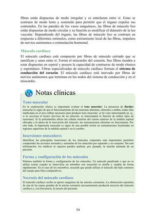 fibras están dispuestas de modo irregular y se entrelazan entre sí. Estas se
contraen de modo lento y sostenido para permitir que el órgano expulse sus
contenidos. En las paredes de los vasos sanguíneos, las fibras de músculo liso
están dispuestas de modo circular y su función es modificar el diámetro de la luz
vascular. Dependiendo del órgano, las fibras de músculo liso se contraen en
respuesta a diferentes estímulos, como estiramiento local de las fibras, impulsos
de nervios autónomos o estimulación hormonal.
Músculo cardíaco
El músculo cardíaco está compuesto por fibras de músculo estriado que se
ramifican y unen entre sí. Forma el miocardio del corazón. Sus fibras tienden a
estar dispuestas en espiral y poseen la capacidad de contraerse de modo rítmico
y espontáneo. Fibras especializadas de músculo cardíaco forman el sistema de
conducción del corazón. El músculo cardíaco está inervado por fibras de
nervios autónomos que terminan en los nodos del sistema de conducción y en el
miocardio.
Notas clínicas
Tono muscular
En la exploración clínica es importante evaluar el tono muscular. La presencia de flacidez
muscular es signo de que el funcionamiento de las neuronas aferentes, eferentes o ambas, todas ellas
implicadas en el arco reflejo necesario para producir tono muscular, se ha visto interrumpido (p. ej.,
si se secciona el tronco nervioso de un músculo, se interrumpirá la función de ambos tipos de
neuronas). Si la poliomielitis afecta las células motoras del cuerno anterior de la médula espinal
ubicadas a la altura de la inervación del músculo, las motoneuronas eferentes no funcionarán. Por
otro lado, la hipertonía muscular es signo de una posible lesión en motoneuronas localizadas en
regiones superiores de la médula espinal o en el cerebro.
Inserciones musculares
Identificar las principales inserciones de los músculos corporales más importantes permitirá
comprender las acciones normales y anómalas de los músculos por separado y en conjunto. Sin esta
información, los médicos ni siquiera pueden analizar, por ejemplo, la marcha anómala de un
paciente.
Forma y configuración de los músculos
Nótense también la forma y configuración de los músculos. Un músculo paralizado o que no se
utiliza (como cuando se inmoviliza un miembro con escayola) se atrofia y cambia de forma
rápidamente. En el caso de los miembros, recuerde que puede utilizar el músculo del lado contrario
del cuerpo para fines comparativos.
Necrosis del músculo cardíaco
El músculo cardíaco recibe su aporte sanguíneo de las arterias coronarias. La obstrucción repentina
de una de las ramas grandes de la arteria coronaria necesariamente producirá necrosis del músculo
cardíaco y, con frecuencia, la muerte del paciente.
54
 