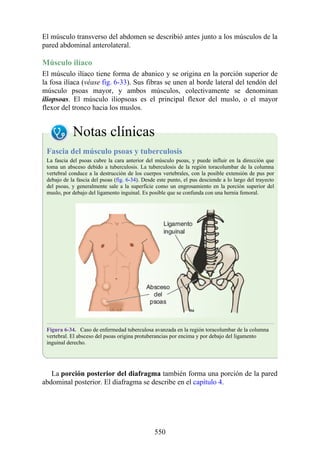 El músculo transverso del abdomen se describió antes junto a los músculos de la
pared abdominal anterolateral.
Músculo ilíaco
El músculo ilíaco tiene forma de abanico y se origina en la porción superior de
la fosa ilíaca (véase fig. 6-33). Sus fibras se unen al borde lateral del tendón del
músculo psoas mayor, y ambos músculos, colectivamente se denominan
iliopsoas. El músculo iliopsoas es el principal flexor del muslo, o el mayor
flexor del tronco hacia los muslos.
Notas clínicas
Fascia del músculo psoas y tuberculosis
La fascia del psoas cubre la cara anterior del músculo psoas, y puede influir en la dirección que
toma un absceso debido a tuberculosis. La tuberculosis de la región toracolumbar de la columna
vertebral conduce a la destrucción de los cuerpos vertebrales, con la posible extensión de pus por
debajo de la fascia del psoas (fig. 6-34). Desde este punto, el pus desciende a lo largo del trayecto
del psoas, y generalmente sale a la superficie como un engrosamiento en la porción superior del
muslo, por debajo del ligamento inguinal. Es posible que se confunda con una hernia femoral.
Figura 6-34. Caso de enfermedad tuberculosa avanzada en la región toracolumbar de la columna
vertebral. El absceso del psoas origina protuberancias por encima y por debajo del ligamento
inguinal derecho.
La porción posterior del diafragma también forma una porción de la pared
abdominal posterior. El diafragma se describe en el capítulo 4.
550
 