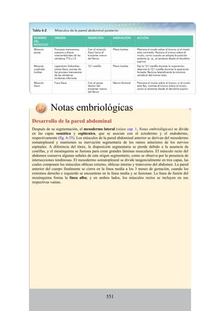 Notas embriológicas
Desarrollo de la pared abdominal
Después de su segmentación, el mesodermo lateral (véase cap. 1, Notas embriológicas) se divide
en las capas somática y esplácnica, que se asocian con el ectodermo y el endodermo,
respectivamente (fig. 6-35). Los músculos de la pared abdominal anterior se derivan del mesodermo
somatopleural y mantienen su inervación segmentaria de los ramos anteriores de los nervios
espinales. A diferencia del tórax, la disposición segmentaria se pierde debido a la ausencia de
costillas, y el mesénquima se fusiona para crear grandes láminas musculares. El músculo recto del
abdomen conserva algunas señales de este origen segmentario, como se observa por la presencia de
intersecciones tendinosas. El mesodermo somatopleural se divide tangencialmente en tres capas, las
cuales componen los músculos oblicuo externo, oblicuo interno y transverso del abdomen. La pared
anterior del cuerpo finalmente se cierra en la línea media a los 3 meses de gestación, cuando los
extremos derecho e izquierdo se encuentran en la línea media y se fusionan. La línea de fusión del
mesénquima forma la línea alba; y en ambos lados, los músculos rectos se incluyen en sus
respectivas vainas.
551
 
