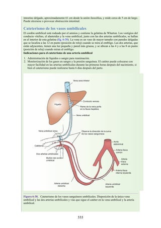 intestino delgado, aproximadamente 61 cm desde la unión ileocólica, y mide cerca de 5 cm de largo.
Puede ulcerarse o provocar obstrucción intestinal.
Cateterismo de los vasos umbilicales
El cordón umbilical está rodeado por el amnios y contiene la gelatina de Wharton. Los vestigios del
conducto vitelino, el alantoides y la vena umbilical, junto con las dos arterias umbilicales, se hallan
en el interior de esta gelatina (fig. 6-38). La vena es un vaso de mayor tamaño con paredes delgadas
que se localiza a las 12 en punto (posición de reloj) cuando se mira al ombligo. Las dos arterias, que
están adyacentes, tienen una luz pequeña y pared más gruesa, y se ubican a las 4 y a las 8 en punto
(posición de reloj) cuando miran al ombligo.
Indicaciones para el cateterismo de una arteria umbilical
1. Administración de líquidos o sangre para reanimación.
2. Monitorización de los gases en sangre y la presión sanguínea. El catéter puede colocarse con
mayor facilidad en las arterias umbilicales durante las primeras horas después del nacimiento, si
bien el cateterismo puede realizarse hasta 6 días después del parto.
Figura 6-38. Cateterismo de los vasos sanguíneos umbilicales. Disposición de la única vena
umbilical y las dos arterias umbilicales y vías que sigue el catéter en la vena umbilical y la arteria
umbilical.
555
 