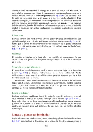 conocida como rafe escrotal, a lo largo de la línea de fusión. Los testículos, a
ambos lados, son cuerpos ovoides firmes rodeados en sus caras lateral, anterior y
medial por dos capas de la túnica vaginal (véase fig. 6-26). Los testículos, por
lo tanto, se encuentran libres y no unidos a la piel o el tejido subcutáneo. Una
estructura alargada, el epidídimo, se localiza posterior a los testículos. Posee un
extremo superior ensanchado denominado cabeza, un cuerpo y un extremo
inferior estrecho, la cola. El conducto deferente emerge desde la cola y asciende
medial al epidídimo para entrar en el cordón espermático en el extremo superior
del escroto.
Línea alba
La línea alba es una banda fibrosa vertical que se extiende desde la sínfisis del
pubis hasta el proceso xifoides y descansa en la línea media (véase fig. 6-10). Se
forma por la unión de las aponeurosis de los músculos de la pared abdominal
anterior y está representada superficialmente por un leve surco medio (véanse
figs. 6-16 y 6-47).
Ombligo
El ombligo se localiza en la línea alba y su posición no es constante. Es una
cicatriz contraída que sirve corresponde al lugar inserción del cordón umbilical
en el feto.
Músculo recto del abdomen
El músculo recto del abdomen se localiza a cada uno de los lados de la línea alba
(véase fig. 6-16) y discurre verticalmente en la pared abdominal. Puede
evidenciarse y observarse si se solicita a una persona acostada que eleve los
hombros sin utilizar los brazos.
Tres intersecciones tendinosas discurren a través de cada uno de los músculos
rectos del abdomen. En personas con músculos desarrollados, pueden palparse
como depresiones transversas a nivel del vértice del proceso xifoides, en el
ombligo y a medio camino entre ambos puntos.
Línea semilunar
La línea semilunar es el borde lateral del músculo recto del abdomen y cruza el
arco costal en el vértice del noveno cartílago costal (véanse figs. 6-16 y 6-47).
Para poder observar las líneas semilunares, se solicita al paciente que se recueste
y separe los hombros de la mesa sin utilizar los brazos. Con este fin, el paciente
contrae el músculo recto del abdomen, lo que hace que los bordes laterales
sobresalgan.
Líneas y planos abdominales
Suele utilizarse una cuadrícula de líneas verticales y planos horizontales (véase
fig. 6-47) para facilitar la descripción de la ubicación de estructuras enfermas o
569
 