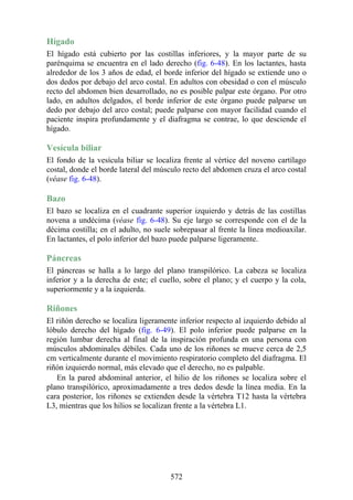 Hígado
El hígado está cubierto por las costillas inferiores, y la mayor parte de su
parénquima se encuentra en el lado derecho (fig. 6-48). En los lactantes, hasta
alrededor de los 3 años de edad, el borde inferior del hígado se extiende uno o
dos dedos por debajo del arco costal. En adultos con obesidad o con el músculo
recto del abdomen bien desarrollado, no es posible palpar este órgano. Por otro
lado, en adultos delgados, el borde inferior de este órgano puede palparse un
dedo por debajo del arco costal; puede palparse con mayor facilidad cuando el
paciente inspira profundamente y el diafragma se contrae, lo que desciende el
hígado.
Vesícula biliar
El fondo de la vesícula biliar se localiza frente al vértice del noveno cartílago
costal, donde el borde lateral del músculo recto del abdomen cruza el arco costal
(véase fig. 6-48).
Bazo
El bazo se localiza en el cuadrante superior izquierdo y detrás de las costillas
novena a undécima (véase fig. 6-48). Su eje largo se corresponde con el de la
décima costilla; en el adulto, no suele sobrepasar al frente la línea medioaxilar.
En lactantes, el polo inferior del bazo puede palparse ligeramente.
Páncreas
El páncreas se halla a lo largo del plano transpilórico. La cabeza se localiza
inferior y a la derecha de este; el cuello, sobre el plano; y el cuerpo y la cola,
superiormente y a la izquierda.
Riñones
El riñón derecho se localiza ligeramente inferior respecto al izquierdo debido al
lóbulo derecho del hígado (fig. 6-49). El polo inferior puede palparse en la
región lumbar derecha al final de la inspiración profunda en una persona con
músculos abdominales débiles. Cada uno de los riñones se mueve cerca de 2,5
cm verticalmente durante el movimiento respiratorio completo del diafragma. El
riñón izquierdo normal, más elevado que el derecho, no es palpable.
En la pared abdominal anterior, el hilio de los riñones se localiza sobre el
plano transpilórico, aproximadamente a tres dedos desde la línea media. En la
cara posterior, los riñones se extienden desde la vértebra T12 hasta la vértebra
L3, mientras que los hilios se localizan frente a la vértebra L1.
572
 