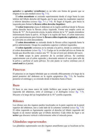 apéndice (o apéndice vermiforme) es un tubo con forma de gusano que se
origina en su cara medial (véase fig. 7-1).
El colon ascendente se extiende superiormente desde el ciego hasta la cara
inferior del lóbulo derecho del hígado, por lo que ocupa los cuadrantes superior
e inferior derechos (véanse figs. 7-1 y 7-4). Al llegar al hígado, gira hacia la
izquierda para formar la flexura cólica derecha (hepática).
El colon transverso cruza el abdomen en la región umbilical desde la flexura
cólica derecha hacia la flexura cólica izquierda. Forma una amplia curva en
forma de “U”. En la posición erecta, la parte inferior de la “U” puede extenderse
inferiormente hasta la pelvis. Al llegar a la región del bazo, el colon transverso
se gira anteriormente para formar la flexura cólica izquierda (esplénica), donde
se convierte en colon descendente.
El colon descendente se extiende desde la flexura cólica izquierda hasta la
pelvis inferiormente. Ocupa los cuadrantes superior e inferior izquierdos.
El colon sigmoide comienza en la entrada a la pelvis, donde es continuo con
el colon descendente (véase fig. 7-1). Cuelga en la cavidad pélvica en forma de
lazada que describe más o menos una “S”. Se une al recto por delante del sacro.
El recto ocupa la parte posterior de la cavidad pélvica. Se continúa
superiormente con el colon sigmoide y desciende anterior al sacro para salir de
la pelvis y perforar el suelo pélvico. En este punto se vuelve continuo con el
canal anal en el periné.
Páncreas
El páncreas es un órgano lobulado que se extiende oblicuamente a lo largo de la
pared posterior del abdomen en la región epigástrica (fig. 7-5). Se localiza
posterior al estómago y se extiende desde el duodeno hasta el bazo.
Bazo
El bazo es una masa suave de tejido linfático que ocupa la parte superior
izquierda del abdomen, entre el estómago y el diafragma (véase fig. 7-5).
Discurre a lo largo del eje longitudinal de la 10.a costilla izquierda.
Riñones
Los riñones son dos órganos pardos localizados en la parte superior de la pared
superior del abdomen, uno a cada lado de la columna vertebral (véase fig. 7-5).
El riñón izquierdo es ligeramente superior al derecho (el lóbulo izquierdo del
hígado es de menor tamaño que el lóbulo derecho). Cada riñón da lugar a un
uréter que discurre vertical e inferiormente sobre el músculo psoas.
Glándulas suprarrenales
Las glándulas suprarrenales son dos órganos amarillentos que se localizan en los
584
 