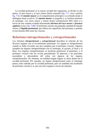 La cavidad peritoneal es la mayor cavidad del organismo; se divide en dos
partes: el saco mayor y el saco menor (bolsa omental) (fig. 7-7; véase también
fig. 7-6). El omento mayor es el compartimento principal y se extiende desde el
diafragma hasta la pelvis. El omento menor es pequeño y se localiza posterior
al estómago. Los sacos mayor y menor tienen comunicación libre entre sí a
través de una ventana ovalada denominada abertura del saco menor o foramen
epiploico (véase fig. 7-6B). El peritoneo secreta una pequeña cantidad de líquido
seroso, el líquido peritoneal, que lubrica las superficies del peritoneo y permite
el movimiento libre entre las vísceras.
Relaciones intraperitoneales y retroperitoneales
Los términos intraperitoneal y retroperitoneal describen la relación de los
diversos órganos con el revestimiento peritoneal. Un órgano es intraperitoneal
cuando se halla revestido casi por completo por el peritoneo visceral. Algunos
ejemplos de órganos intraperitoneales son el estómago, el yeyuno, el íleon y el
bazo. Los órganos retroperitoneales se localizan posteriores al peritoneo, y el
peritoneo visceral solo los reviste parcialmente. El páncreas y las porciones
ascendente y descendente del colon son algunos de los órganos
retroperitoneales. No obstante, en realidad ningún órgano se ubica dentro de la
cavidad peritoneal. Por ejemplo, un órgano intraperitoneal como el estómago
parece estar rodeado por la cavidad peritoneal, pero en realidad está recubierto
de peritoneo visceral y se une con otros órganos a través de omentos.
586
 
