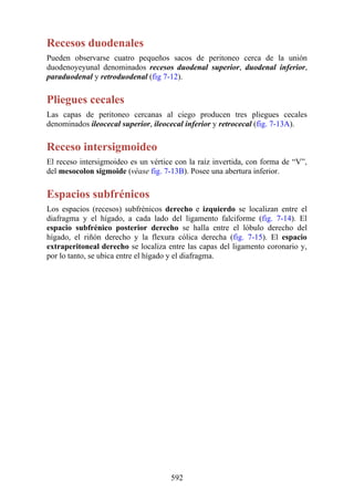 Recesos duodenales
Pueden observarse cuatro pequeños sacos de peritoneo cerca de la unión
duodenoyeyunal denominados recesos duodenal superior, duodenal inferior,
paraduodenal y retroduodenal (fig 7-12).
Pliegues cecales
Las capas de peritoneo cercanas al ciego producen tres pliegues cecales
denominados ileocecal superior, ileocecal inferior y retrocecal (fig. 7-13A).
Receso intersigmoideo
El receso intersigmoideo es un vértice con la raíz invertida, con forma de “V”,
del mesocolon sigmoide (véase fig. 7-13B). Posee una abertura inferior.
Espacios subfrénicos
Los espacios (recesos) subfrénicos derecho e izquierdo se localizan entre el
diafragma y el hígado, a cada lado del ligamento falciforme (fig. 7-14). El
espacio subfrénico posterior derecho se halla entre el lóbulo derecho del
hígado, el riñón derecho y la flexura cólica derecha (fig. 7-15). El espacio
extraperitoneal derecho se localiza entre las capas del ligamento coronario y,
por lo tanto, se ubica entre el hígado y el diafragma.
592
 