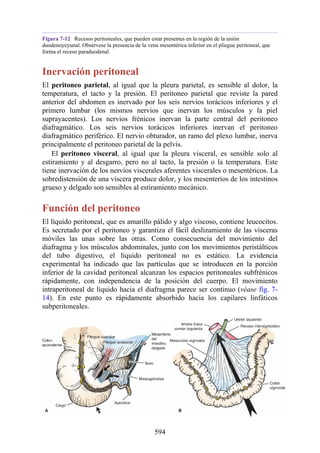 Figura 7-12 Recesos peritoneales, que pueden estar presentes en la región de la unión
duodenoyeyunal. Obsérvese la presencia de la vena mesentérica inferior en el pliegue peritoneal, que
forma el receso paraduodenal.
Inervación peritoneal
El peritoneo parietal, al igual que la pleura parietal, es sensible al dolor, la
temperatura, el tacto y la presión. El peritoneo parietal que reviste la pared
anterior del abdomen es inervado por los seis nervios torácicos inferiores y el
primero lumbar (los mismos nervios que inervan los músculos y la piel
suprayacentes). Los nervios frénicos inervan la parte central del peritoneo
diafragmático. Los seis nervios torácicos inferiores inervan el peritoneo
diafragmático periférico. El nervio obturador, un ramo del plexo lumbar, inerva
principalmente el peritoneo parietal de la pelvis.
El peritoneo visceral, al igual que la pleura visceral, es sensible solo al
estiramiento y al desgarro, pero no al tacto, la presión o la temperatura. Este
tiene inervación de los nervios viscerales aferentes viscerales o mesentéricos. La
sobredistensión de una víscera produce dolor, y los mesenterios de los intestinos
grueso y delgado son sensibles al estiramiento mecánico.
Función del peritoneo
El líquido peritoneal, que es amarillo pálido y algo viscoso, contiene leucocitos.
Es secretado por el peritoneo y garantiza el fácil deslizamiento de las vísceras
móviles las unas sobre las otras. Como consecuencia del movimiento del
diafragma y los músculos abdominales, junto con los movimientos peristálticos
del tubo digestivo, el líquido peritoneal no es estático. La evidencia
experimental ha indicado que las partículas que se introducen en la porción
inferior de la cavidad peritoneal alcanzan los espacios peritoneales subfrénicos
rápidamente, con independencia de la posición del cuerpo. El movimiento
intraperitoneal de líquido hacia el diafragma parece ser continuo (véase fig. 7-
14). En este punto es rápidamente absorbido hacia los capilares linfáticos
subperitoneales.
594
 