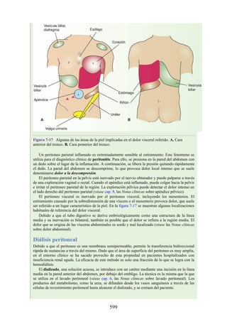 Figura 7-17 Algunas de las áreas de la piel implicadas en el dolor visceral referido. A. Cara
anterior del tronco. B. Cara posterior del tronco.
Un peritoneo parietal inflamado es extremadamente sensible al estiramiento. Este fenómeno se
utiliza para el diagnóstico clínico de peritonitis. Para ello, se presiona en la pared del abdomen con
un dedo sobre el lugar de la inflamación. A continuación, se libera la presión quitando rápidamente
el dedo. La pared del abdomen se descomprime, lo que provoca dolor local intenso que se suele
denominarse dolor a la descompresión.
El peritoneo parietal en la pelvis está inervado por el nervio obturador y puede palparse a través
de una exploración vaginal o rectal. Cuando el apéndice está inflamado, puede colgar hacia la pelvis
e irritar el peritoneo parietal de la región. La exploración pélvica puede detectar el dolor intenso en
el lado derecho del peritoneo parietal (véase cap. 9, las Notas clínicas sobre apéndice pélvico).
El peritoneo visceral es inervado por el peritoneo visceral, incluyendo los mesenterios. El
estiramiento causado por la sobredistensión de una víscera o el mesenterio provoca dolor, que suele
ser referido a un lugar característico de la piel. En la figura 7-17 se muestran algunas localizaciones
habituales de referencia del dolor visceral.
Debido a que el tubo digestivo se deriva embriológicamente como una estructura de la línea
media y su inervación es bilateral, también es posible que el dolor se refiera a la región media. El
dolor que se origina de las vísceras abdominales es sordo y mal localizado (véase las Notas clínicas
sobre dolor abdominal).
Diálisis peritoneal
Debido a que el peritoneo es una membrana semipermeable, permite la transferencia bidireccional
rápida de sustancias a través del mismo. Dado que el área de superficie del peritoneo es muy amplia,
en el entorno clínico se ha sacado provecho de esta propiedad en pacientes hospitalizados con
insuficiencia renal aguda. La eficacia de este método es solo una fracción de lo que se logra con la
hemodiálisis.
El dializado, una solución acuosa, se introduce con un catéter mediante una incisión en la línea
media en la pared anterior del abdomen, por debajo del ombligo. La técnica es la misma que la que
se utiliza en el lavado peritoneal (véase cap. 6, las Notas clínicas sobre lavado peritoneal). Los
productos del metabolismo, como la urea, se difunden desde los vasos sanguíneos a través de las
células de revestimiento peritoneal hasta alcanzar el dializado, y se extraen del paciente.
599
 